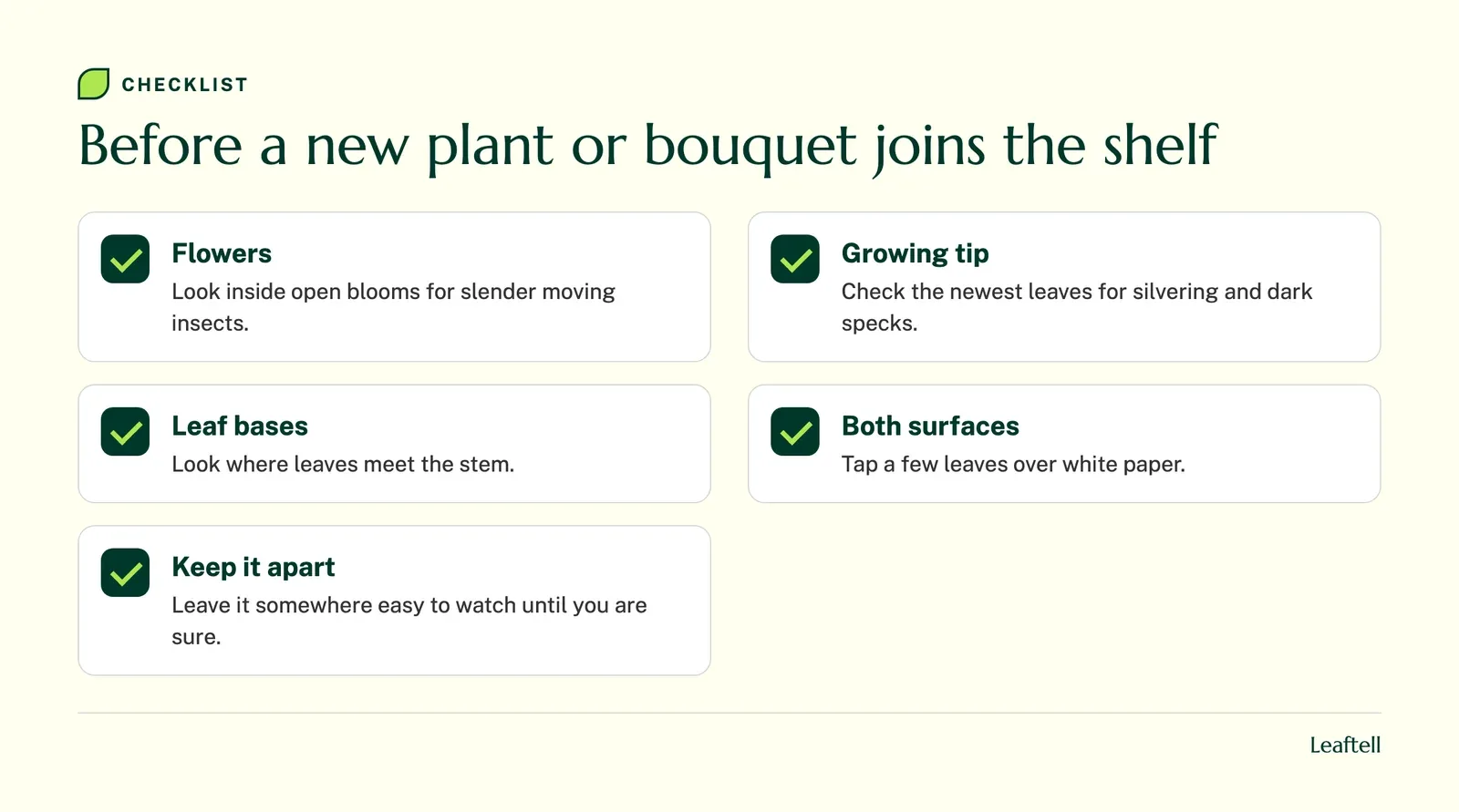 Checklist: Before a new plant or bouquet joins the shelf. Shows Flowers, Growing tip, Leaf bases, Both surfaces, Keep it apart.