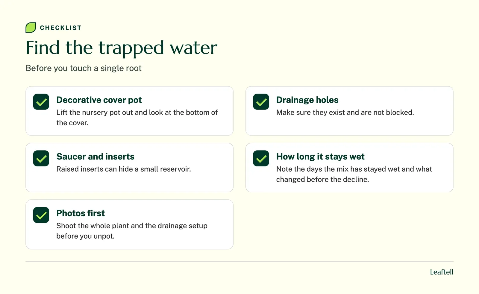 Checklist: Find the trapped water. Shows Decorative cover pot, Drainage holes, Saucer and inserts, How long it stays wet, Photos first.