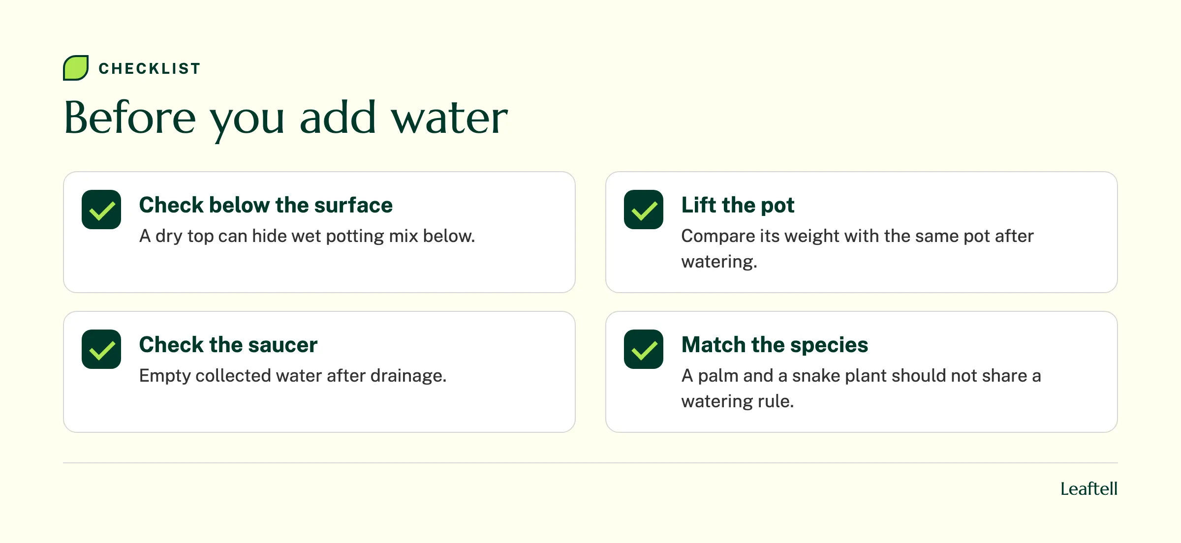 Checklist for checking deeper soil moisture, pot weight, saucer water, and species needs