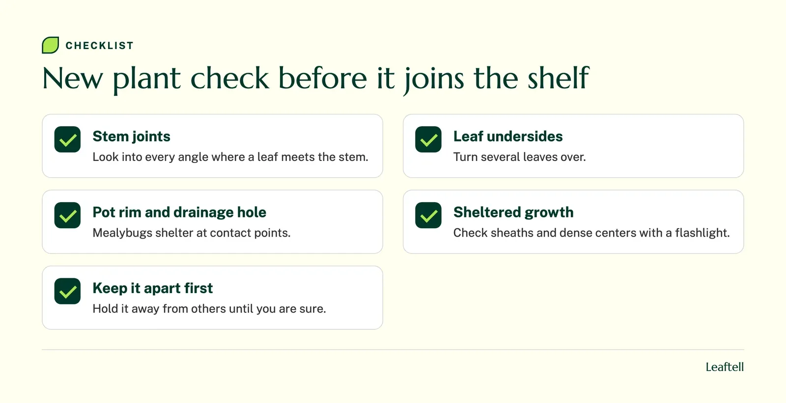 Checklist: New plant check before it joins the shelf. Shows Stem joints, Leaf undersides, Pot rim and drainage hole, Sheltered growth, Keep it apart first.
