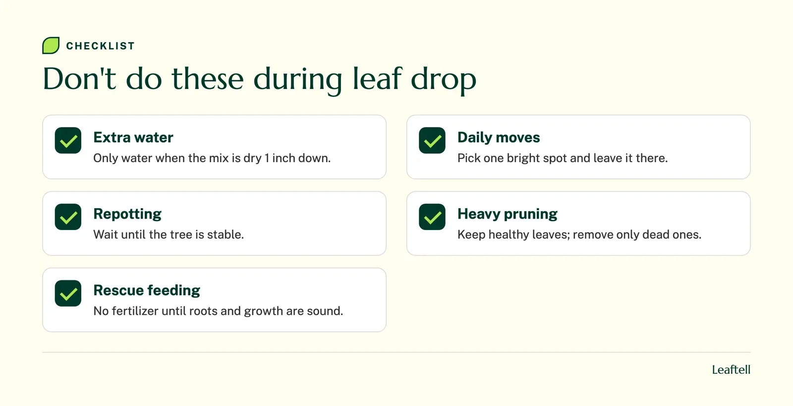 Checklist of actions to avoid while a fiddle leaf fig is dropping leaves