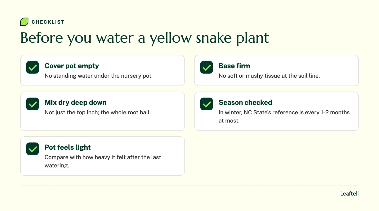Checklist of checks to make before watering a snake plant with yellow leaves