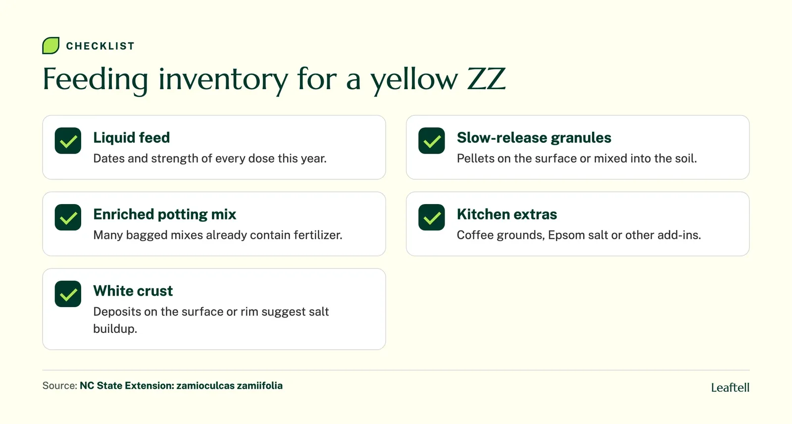 Checklist of fertilizer sources to count before feeding a yellowing ZZ plant