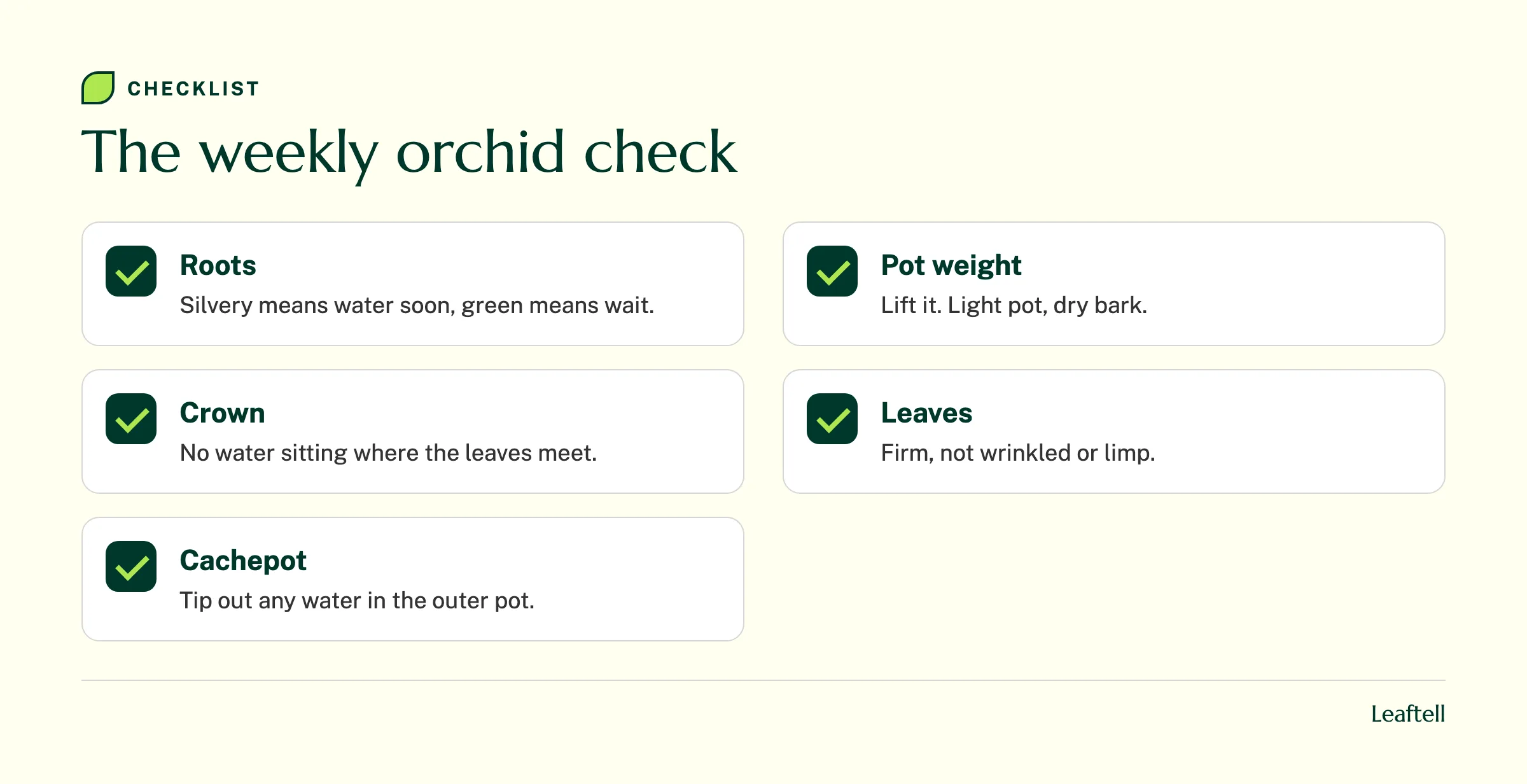 Checklist of five quick weekly checks for a moth orchid