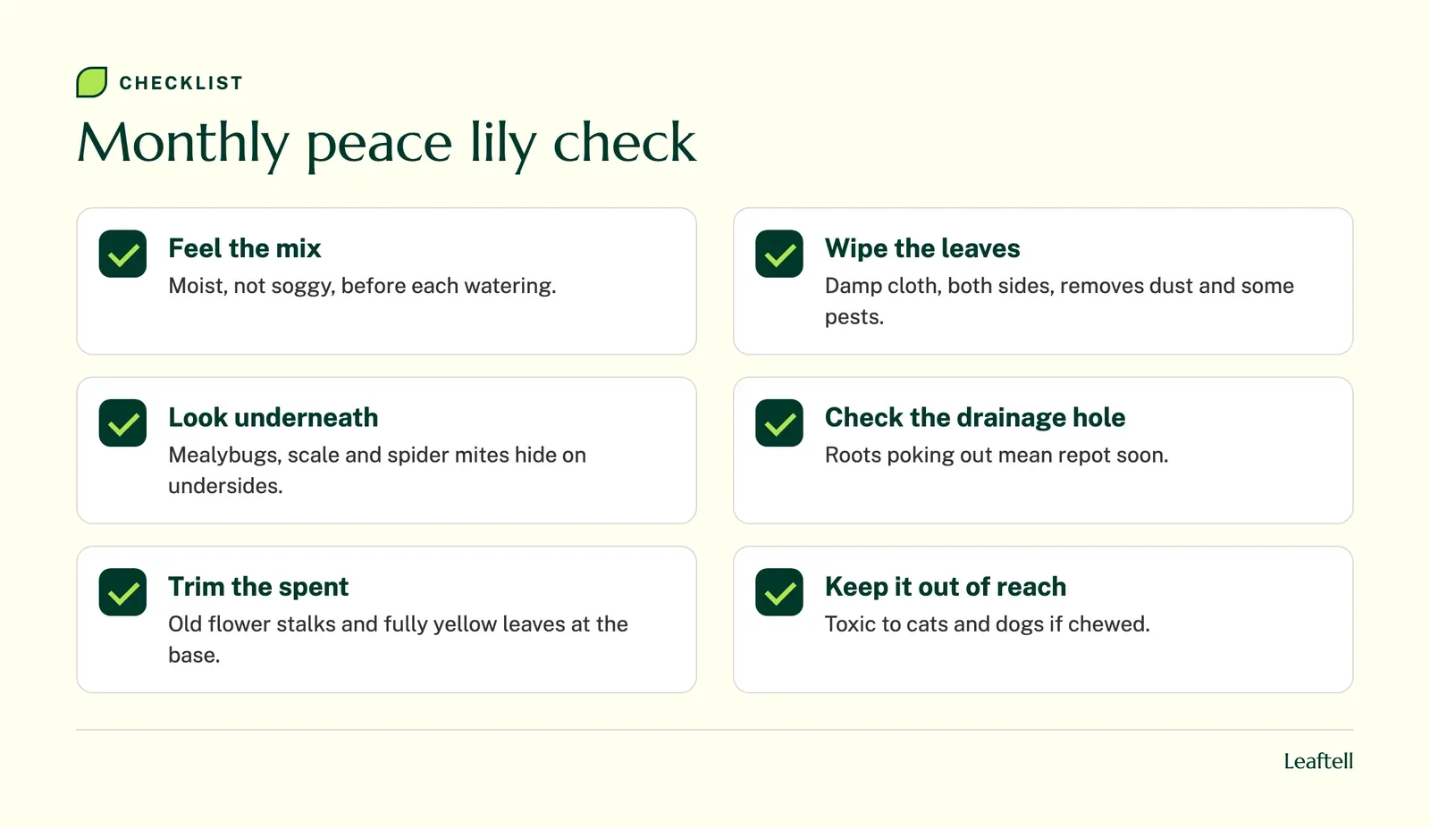 Checklist of monthly peace lily care tasks covering moisture, leaves, pests, roots, light and pets