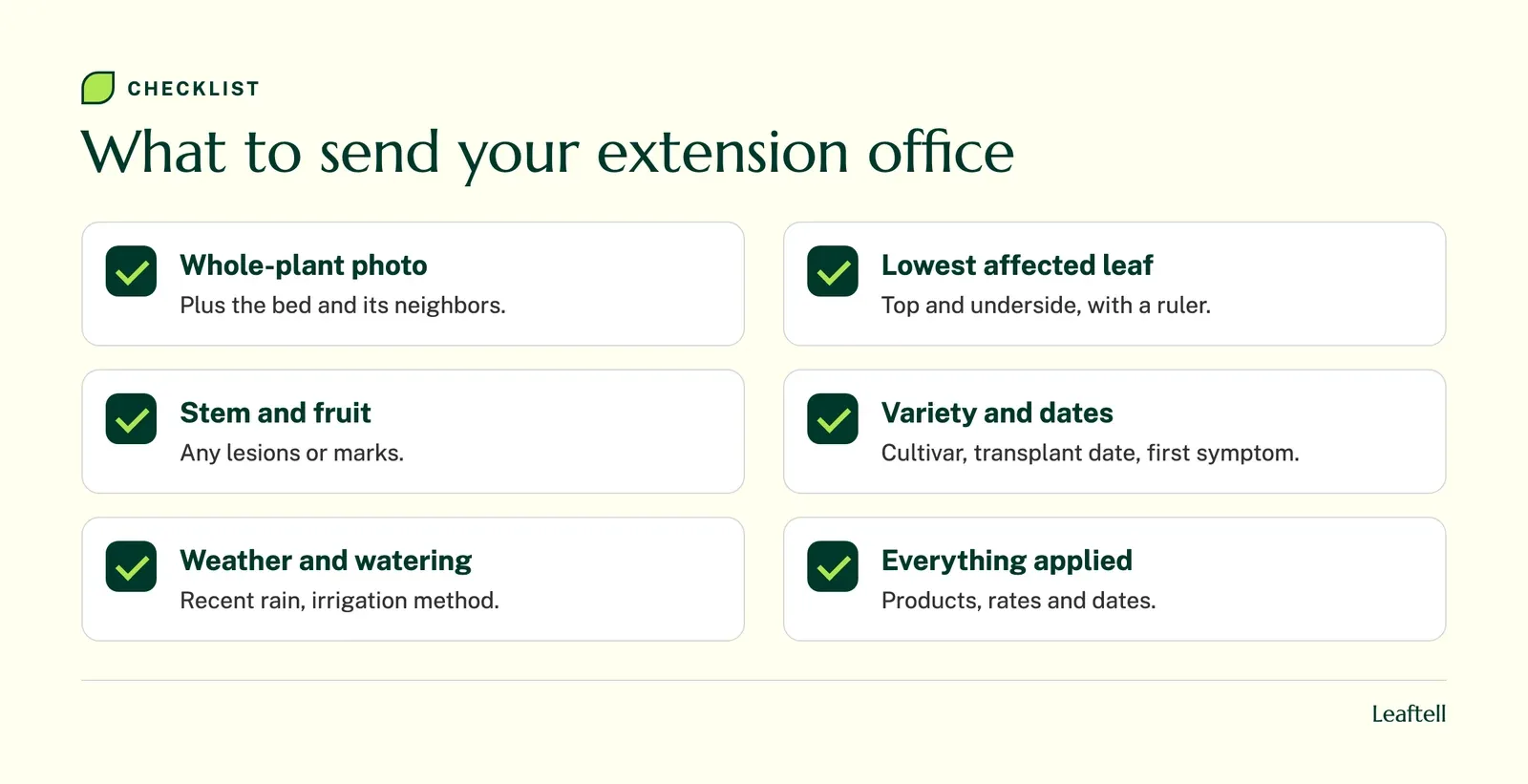 Checklist of photos and details to send to an extension office about a diseased tomato plant