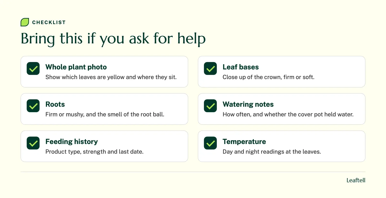 Checklist of photos and notes to gather before asking for advice about a yellowing peace lily
