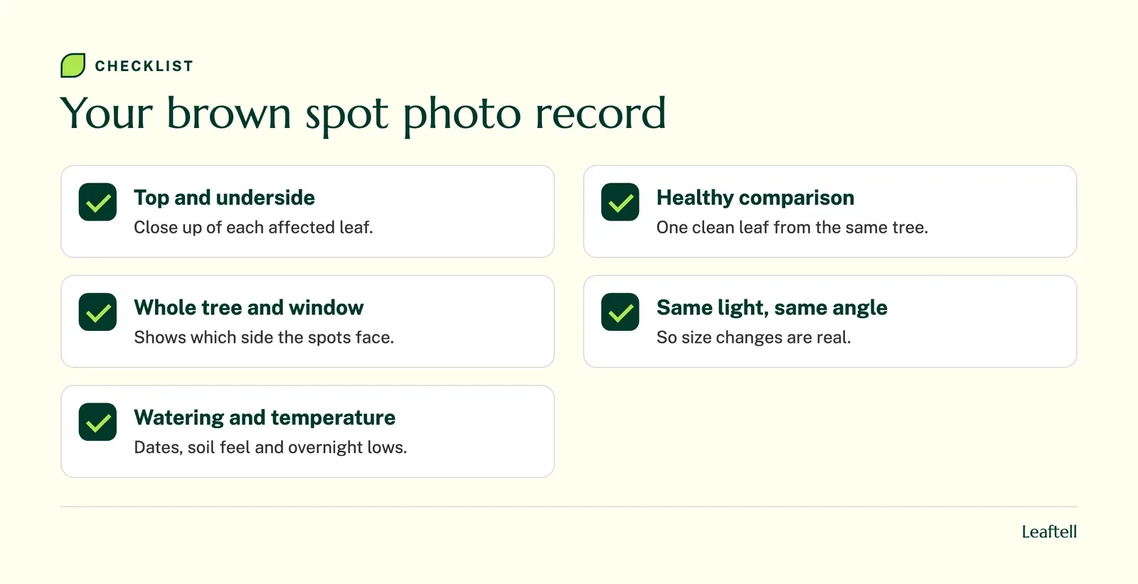 Checklist of photos and notes to keep when tracking brown spots on a fiddle leaf fig