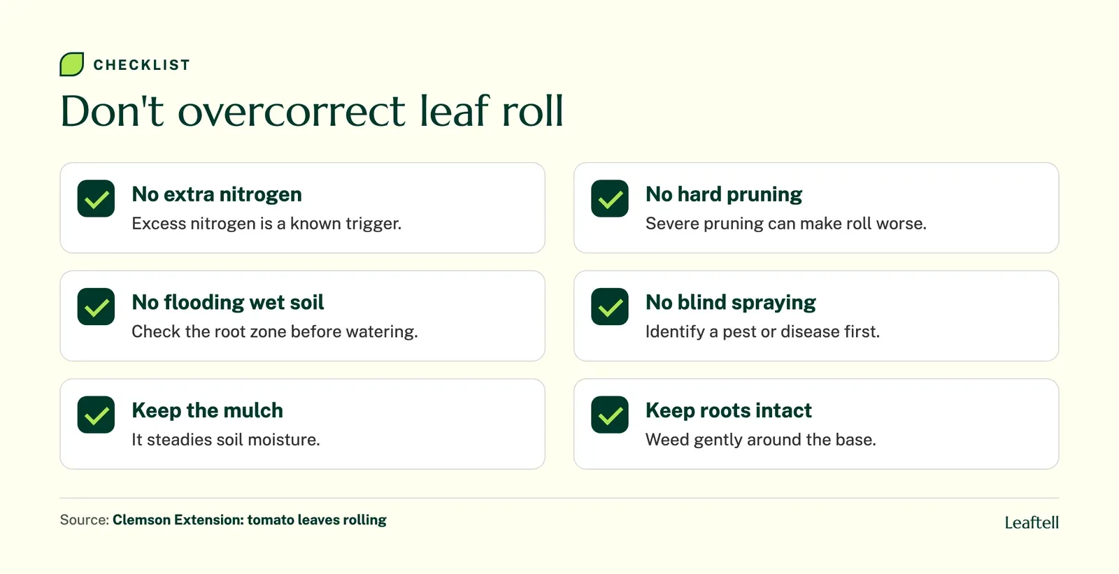 Checklist of things to avoid when tomato leaves show green physiological leaf roll