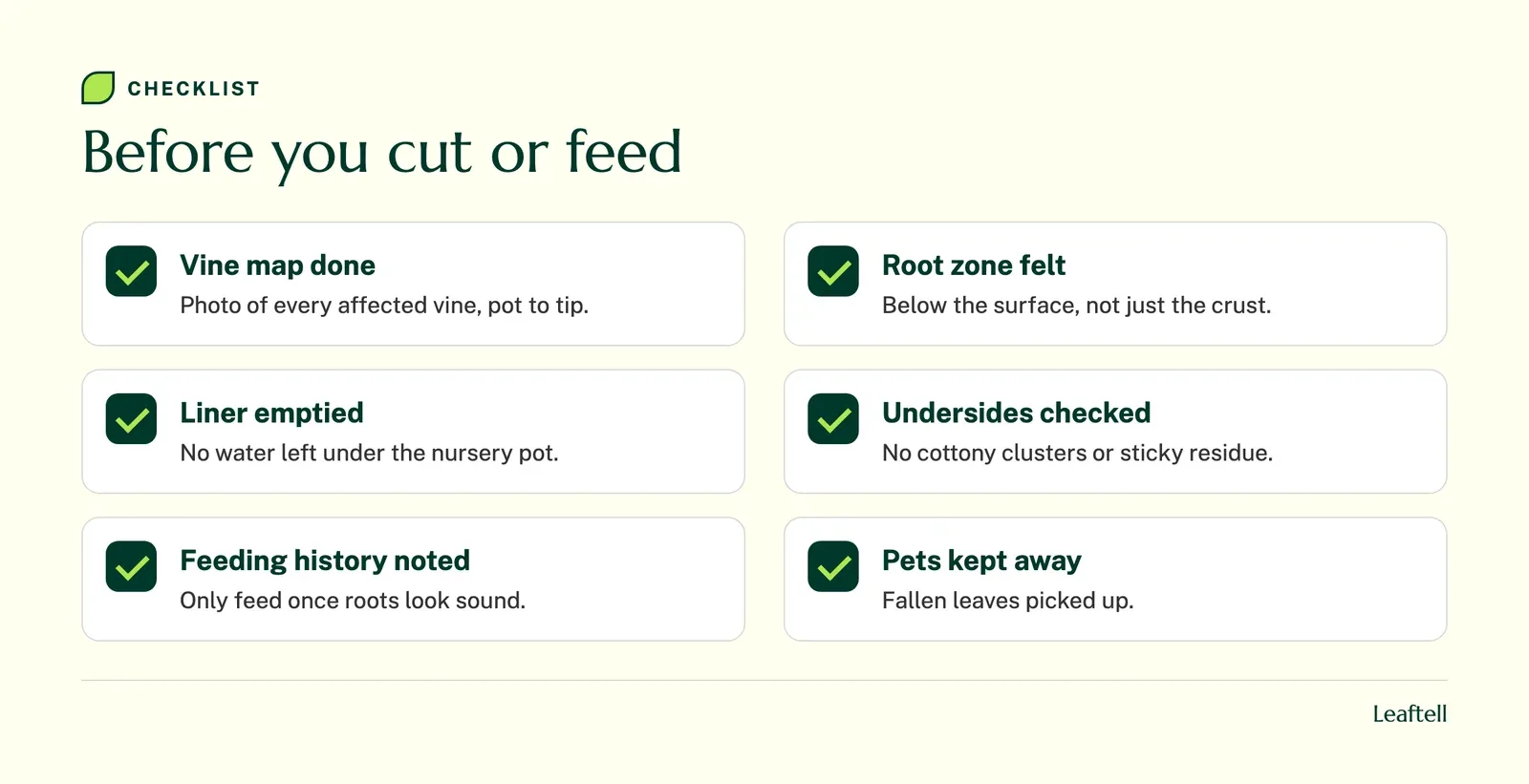 Checklist of things to confirm before pruning or feeding a yellowing pothos
