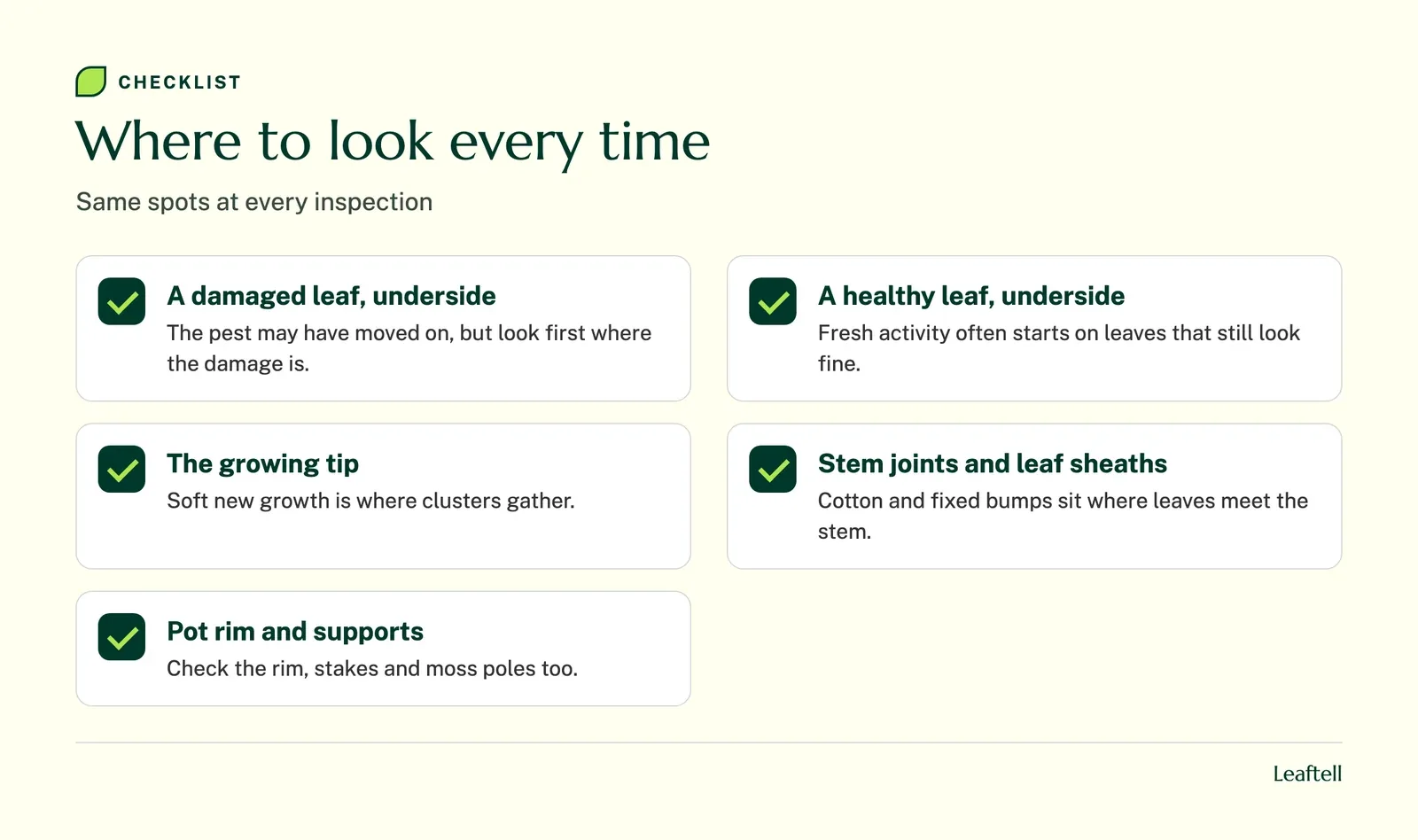 Checklist, Where to look every time: damaged leaf underside, healthy leaf underside, growing tip, stem joints and leaf sheaths, pot rim and supports