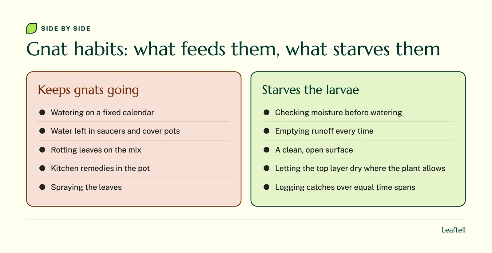 Comparison: Gnat habits: what feeds them, what starves them. Shows Keeps gnats going, Watering on a fixed calendar, Water left in saucers and cover pots, Rotting leaves on the mix.