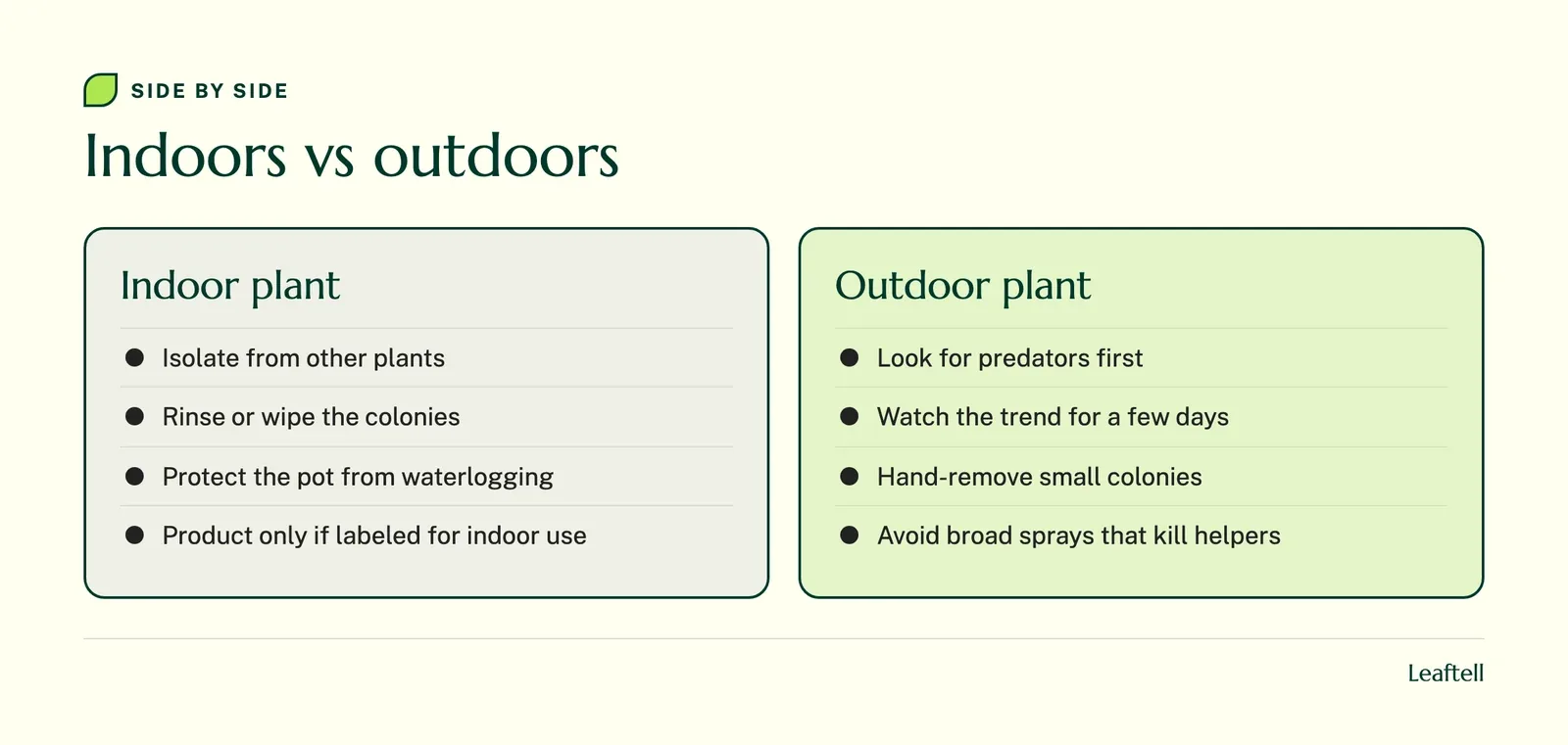 Comparison: Indoors vs outdoors. Shows Indoor plant, Isolate from other plants, Rinse or wipe the colonies, Protect the pot from waterlogging, Product only if labeled for indoor use.