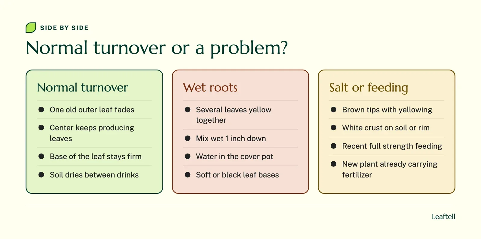 Comparison of normal peace lily leaf aging, wet root trouble and fertilizer salt damage