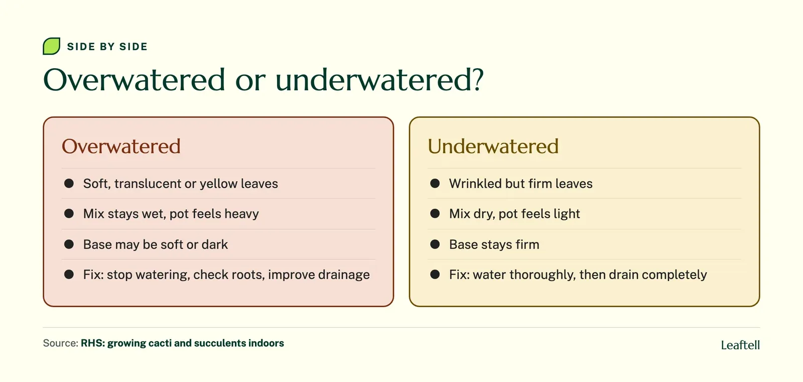 Comparison of overwatered and underwatered succulent signs