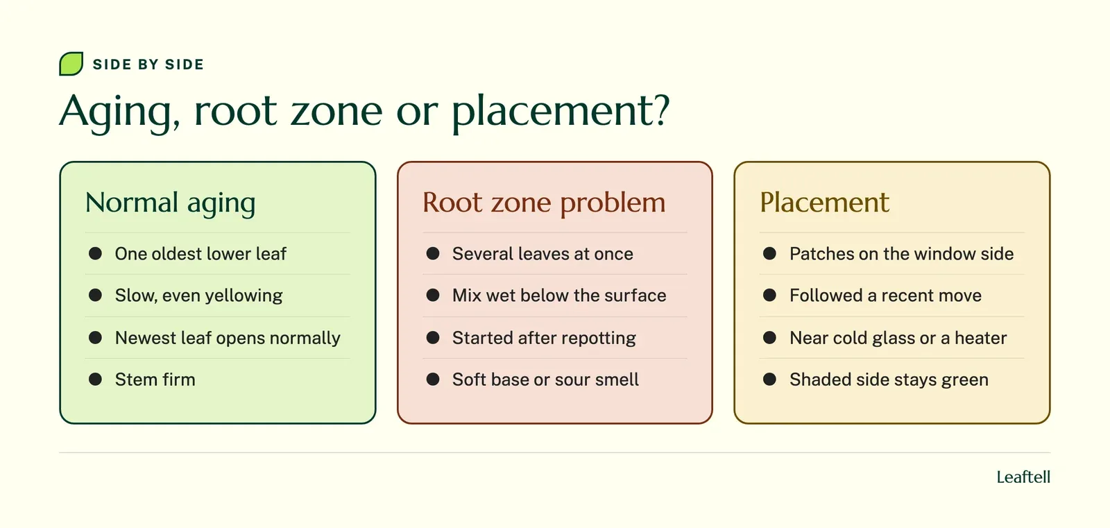 Comparison of signs of normal leaf aging, a root zone problem and a placement problem on a monstera