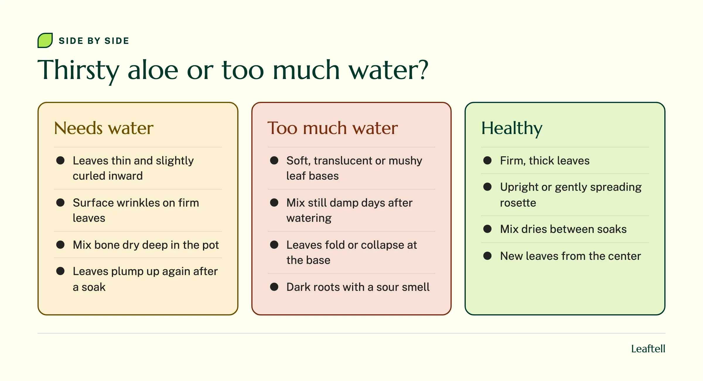 Comparison of thirsty, overwatered and healthy aloe signs in three columns