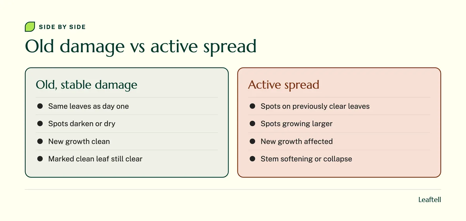Comparison, Old damage vs active spread: Old, stable damage versus Active spread