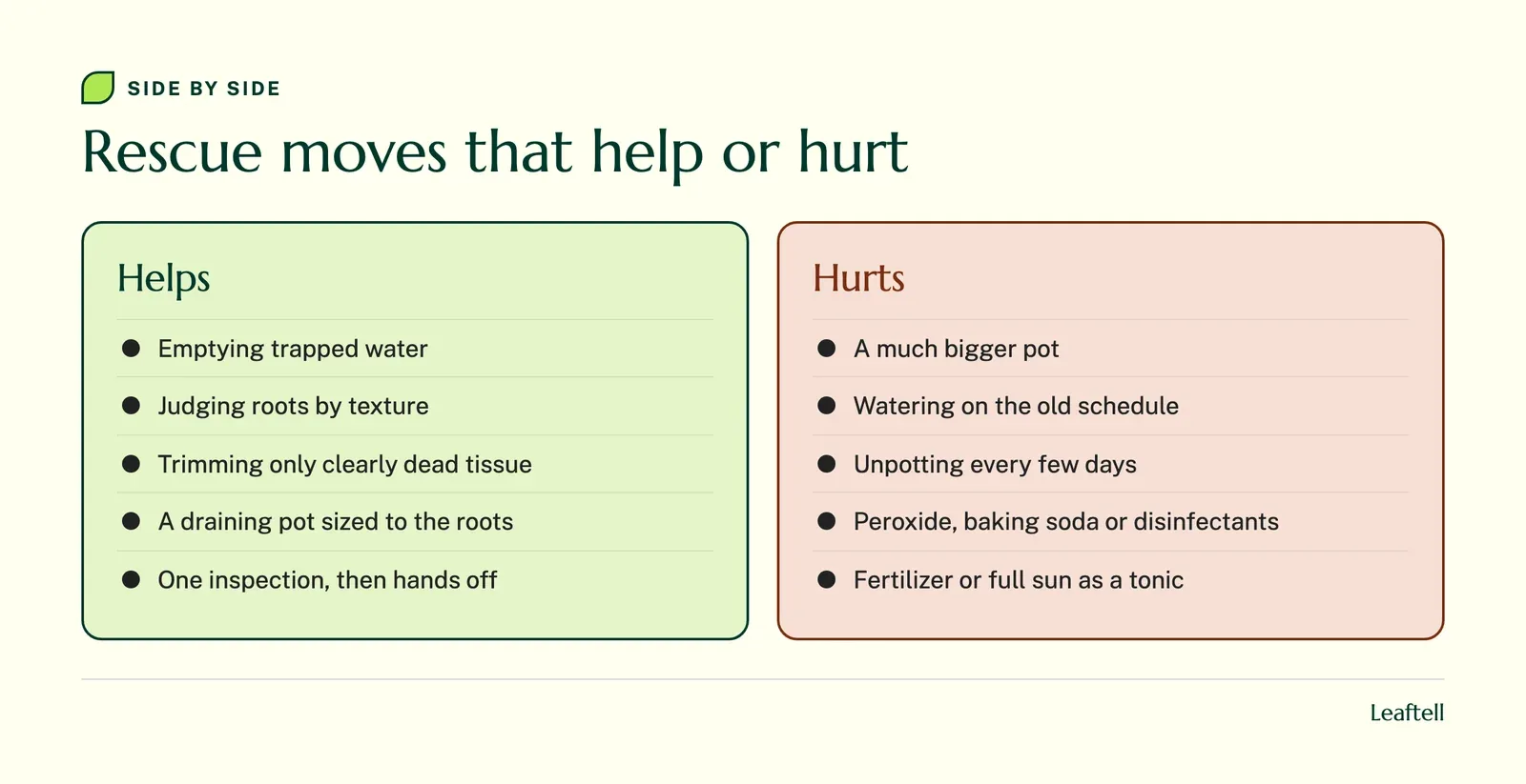Comparison: Rescue moves that help or hurt. Shows Helps, Emptying trapped water, Judging roots by texture, Trimming only clearly dead tissue, A draining pot sized to the roots.