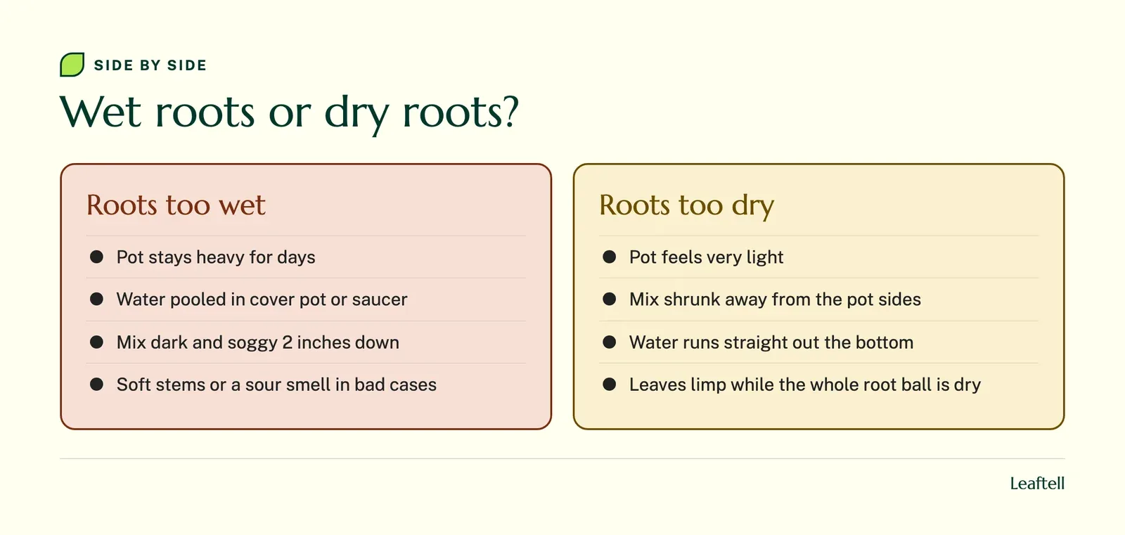 Comparison: Wet roots or dry roots?. Shows Roots too wet, Pot stays heavy for days, Water pooled in cover pot or saucer, Mix dark and soggy 2 inches down, Soft stems or a sour smell in bad cases.