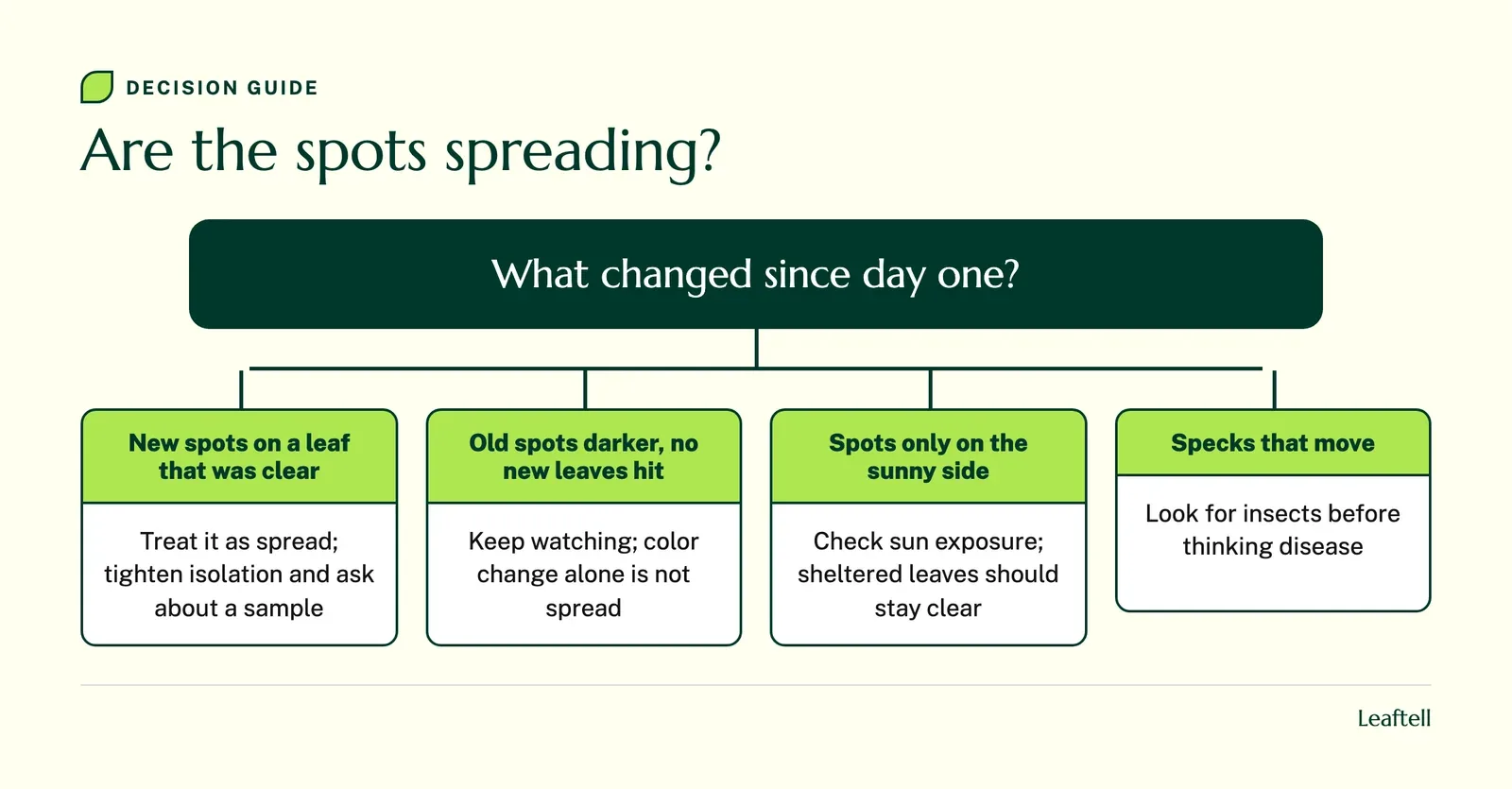 Decision chart, Are the spots spreading?: new spots on a clear leaf, darker old spots only, spots only on the sunny side, or specks that move, each with its next step