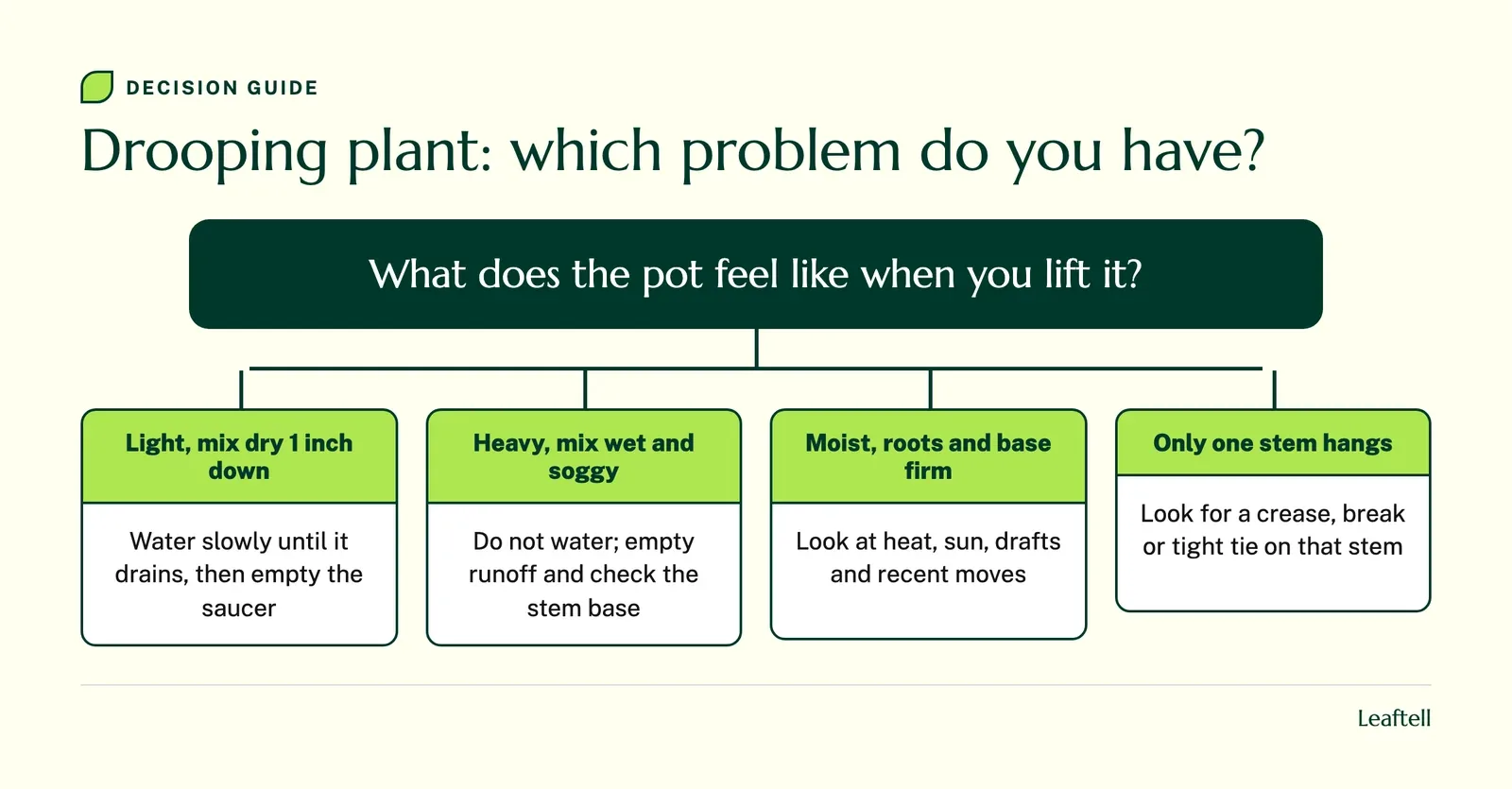 Decision chart, Drooping plant: which problem do you have? Light and dry: water slowly. Heavy and soggy: do not water. Moist and firm: check heat and sun. One stem: look for damage