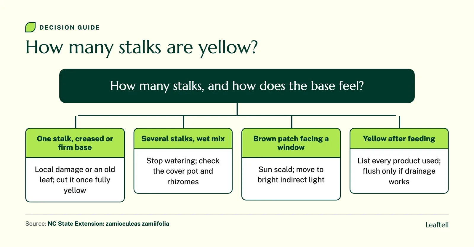 Decision chart for a yellow ZZ plant based on how many stalks are affected and how the base feels