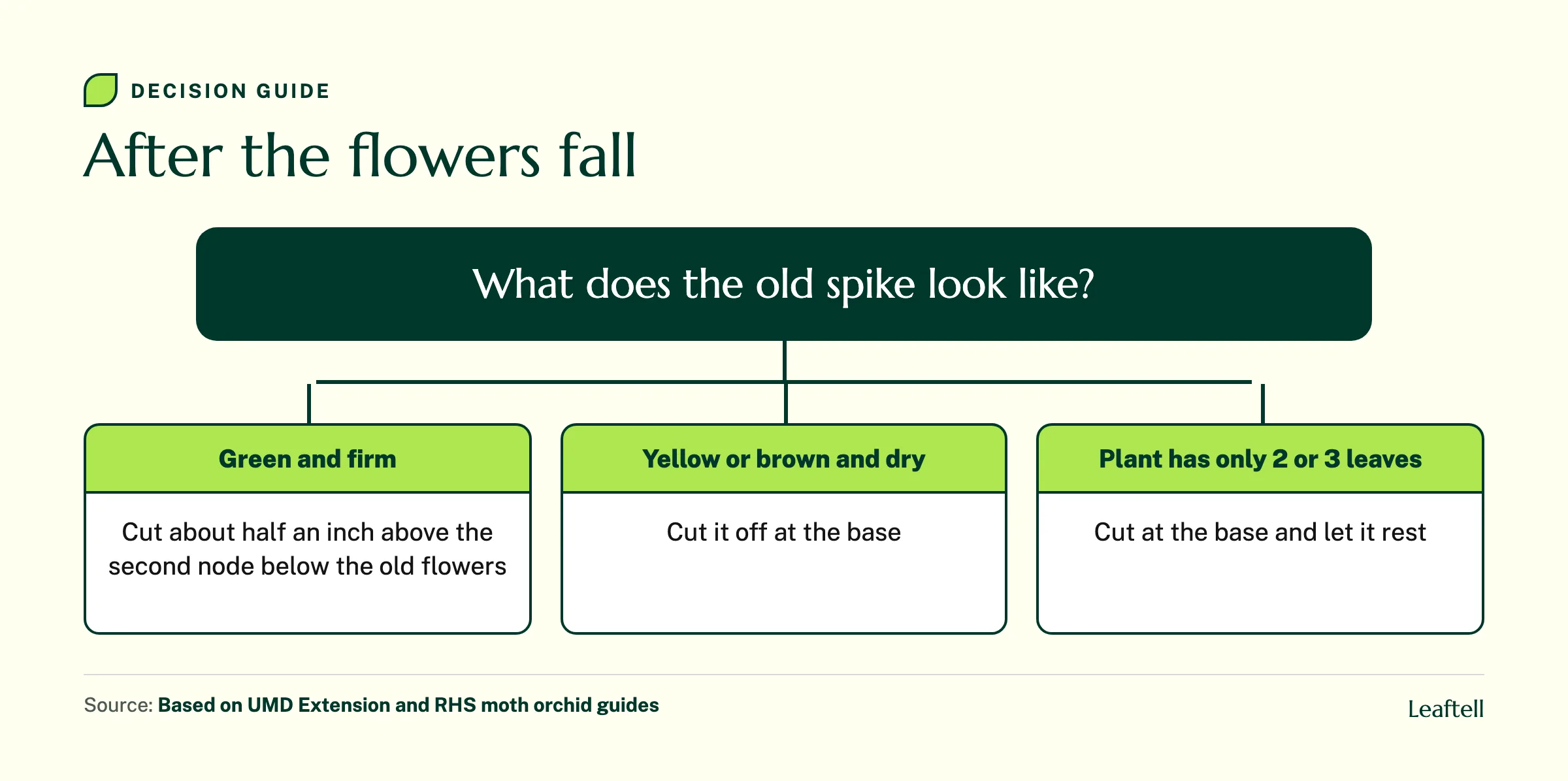 Decision chart for what to do with a moth orchid flower spike after blooming