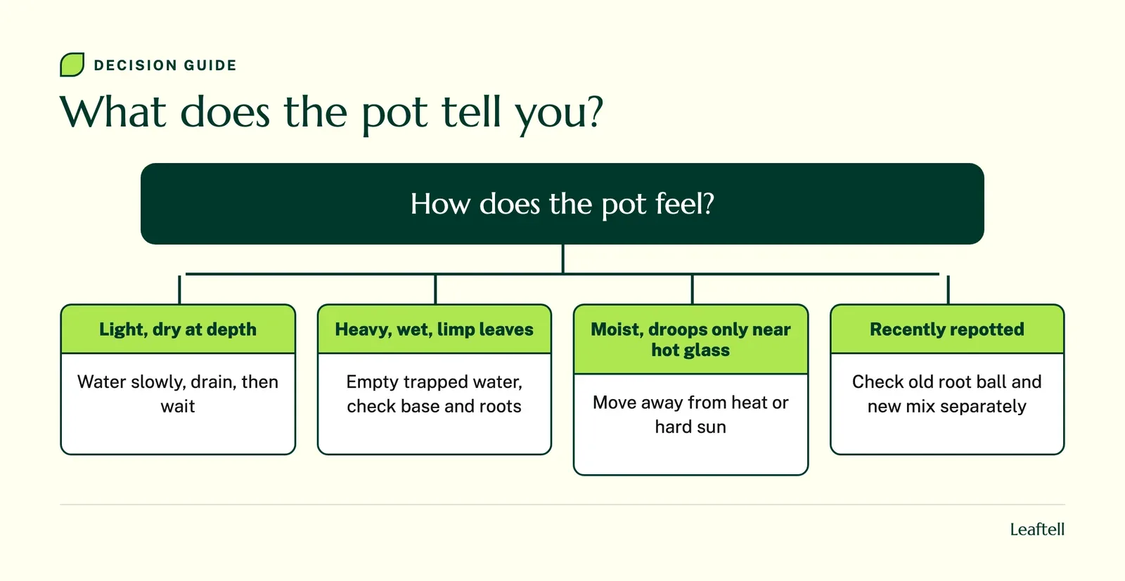 Decision chart linking the weight and moisture of a peace lily pot to the next step