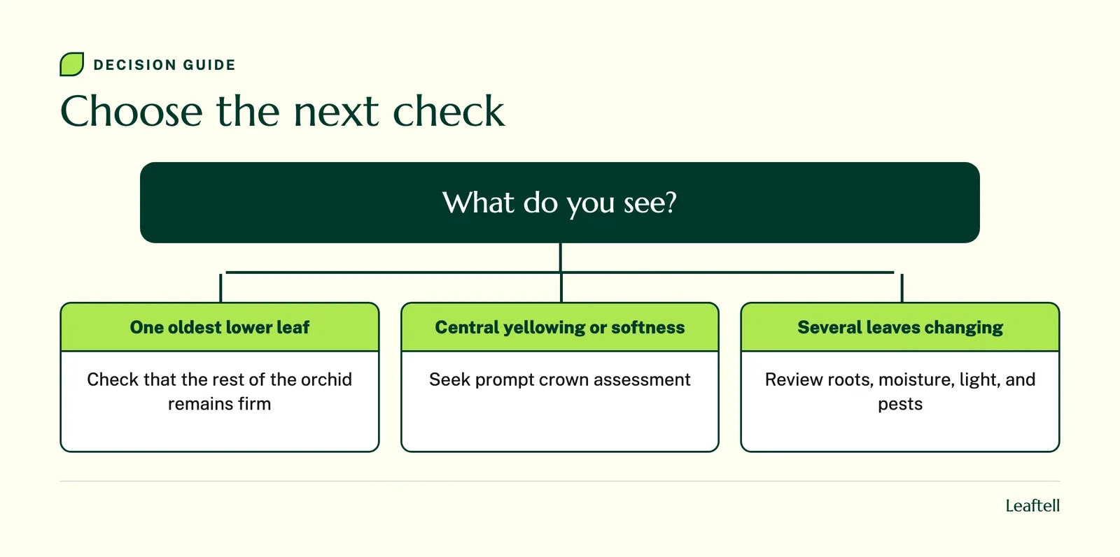 Decision chart matching visible clues to the next inspection