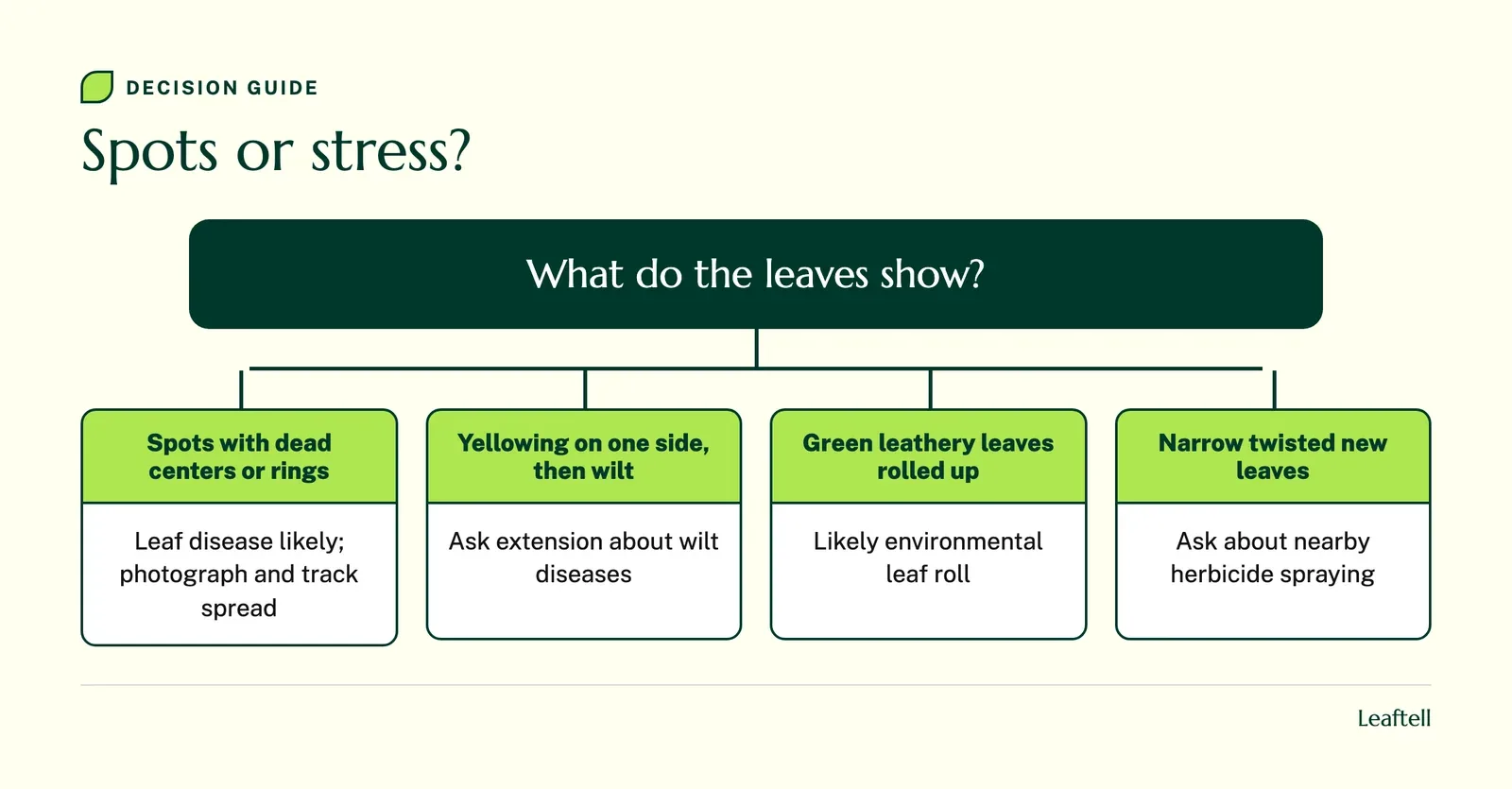 Decision chart separating tomato leaf spot diseases from wilts and non-disease stress