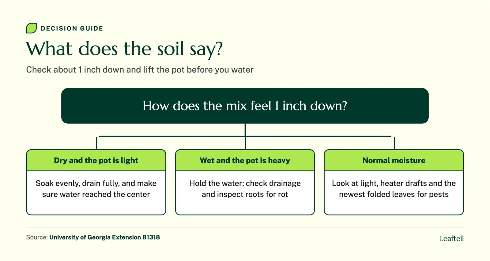 Decision chart sorting curled leaves by dry soil, wet soil or normal moisture