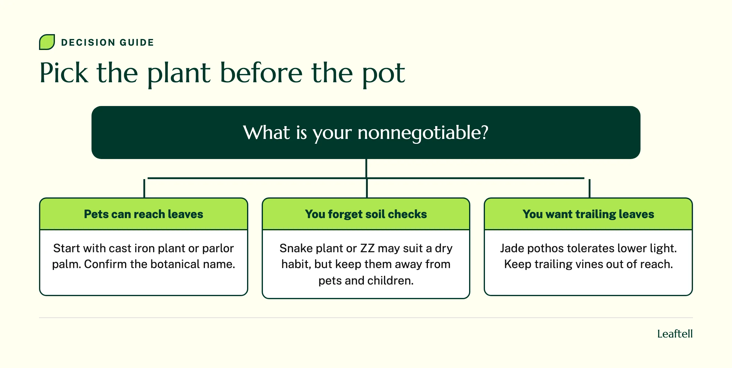 Decision diagram choosing plants by pet access, watering habits, or trailing foliage