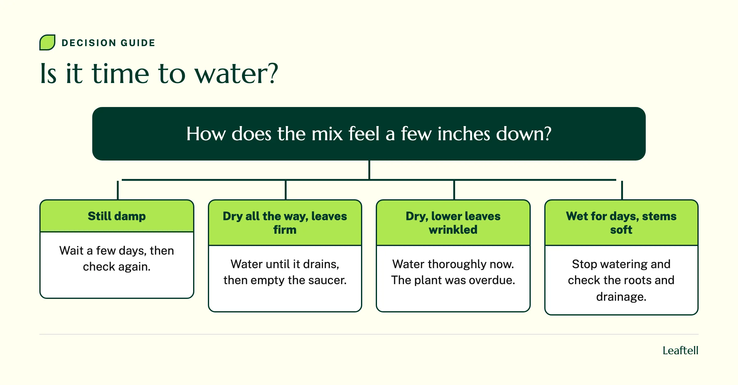 Decision diagram for watering a succulent based on how damp the mix is and how the leaves look