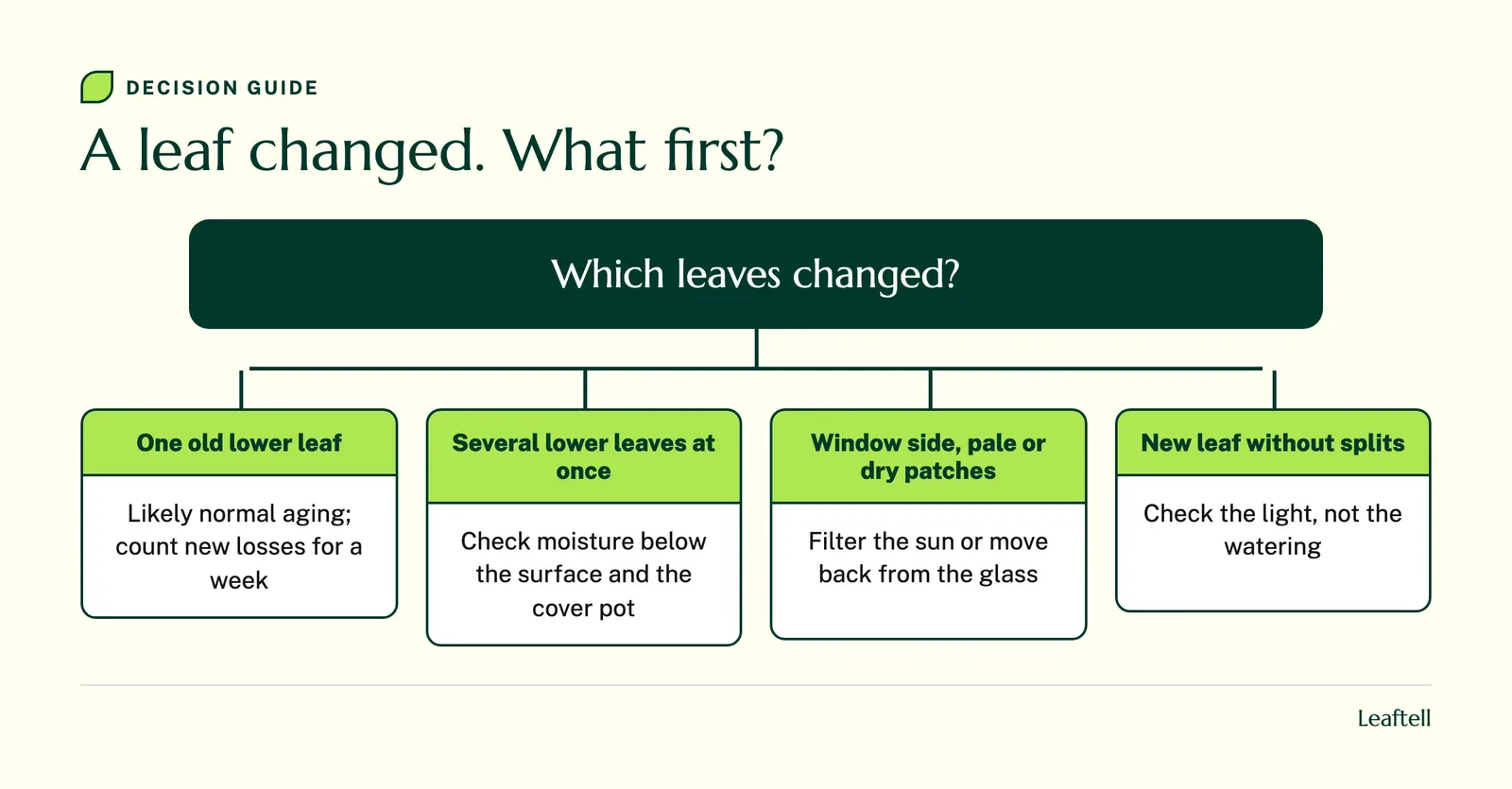 Decision guide: A leaf changed. What first?. Shows Which leaves changed?.