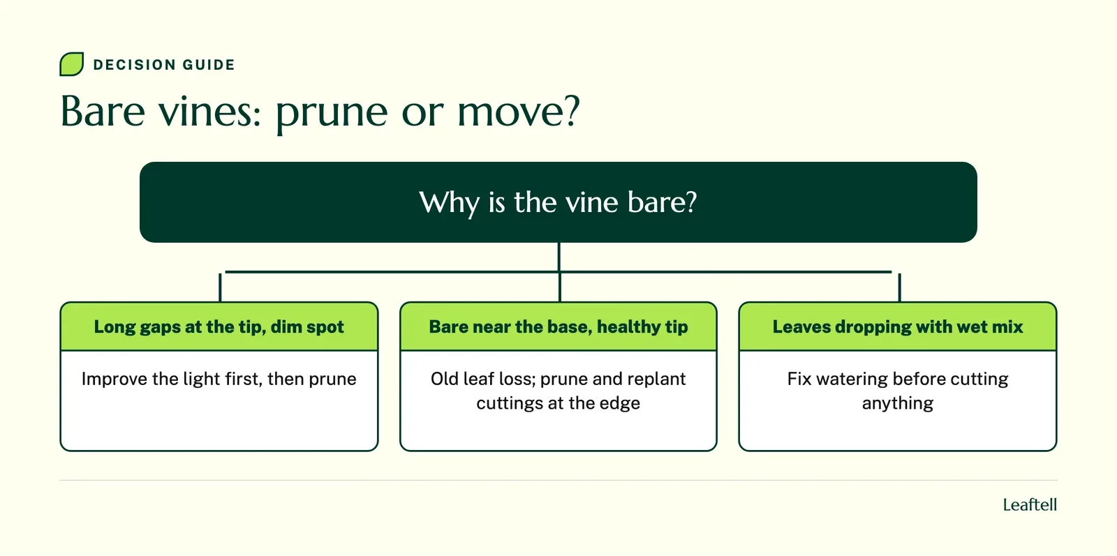 Decision guide: Bare vines: prune or move?. Shows Why is the vine bare?.
