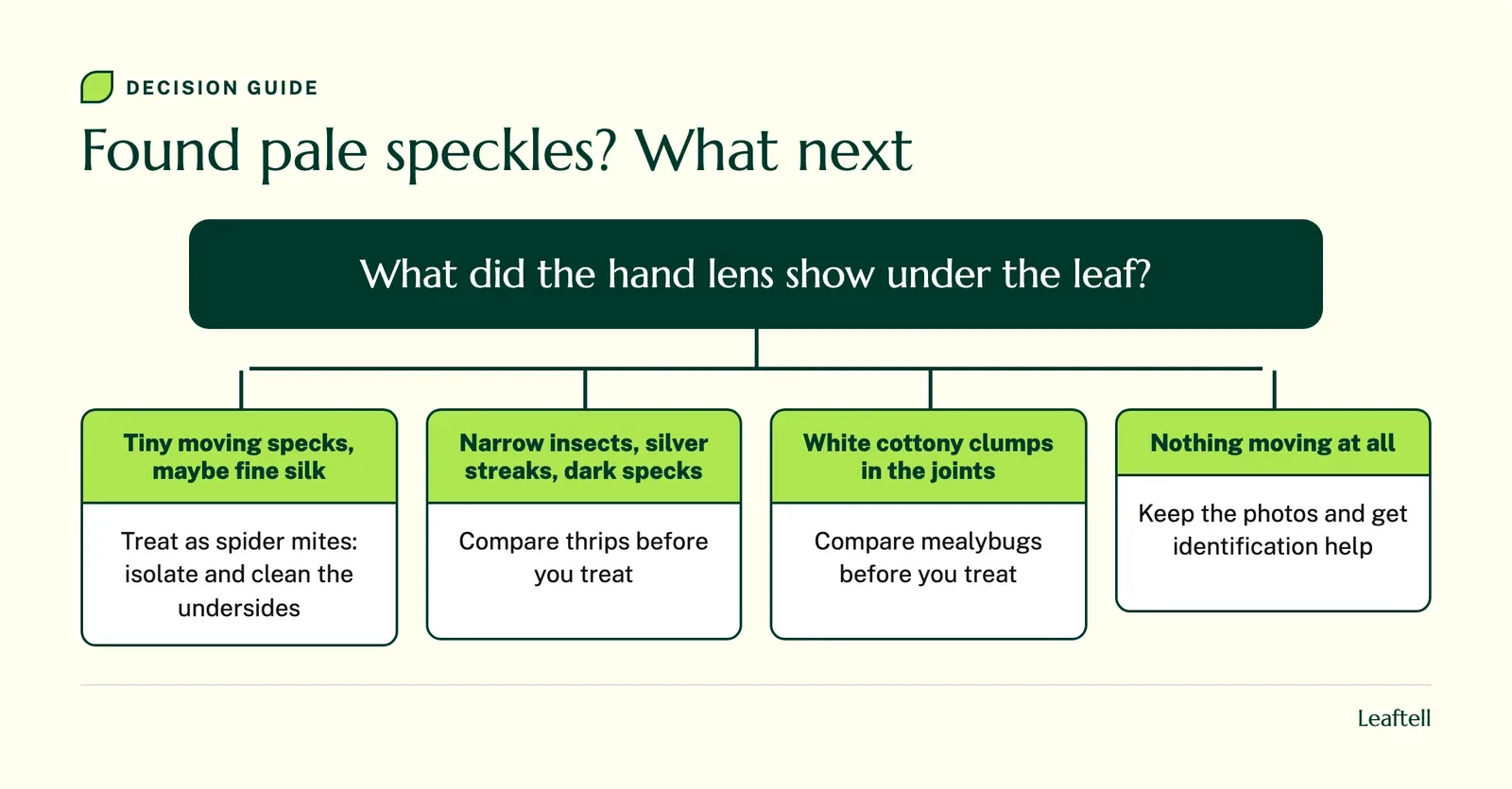 Decision guide: Found pale speckles? What next. Shows What did the hand lens show under the leaf?.