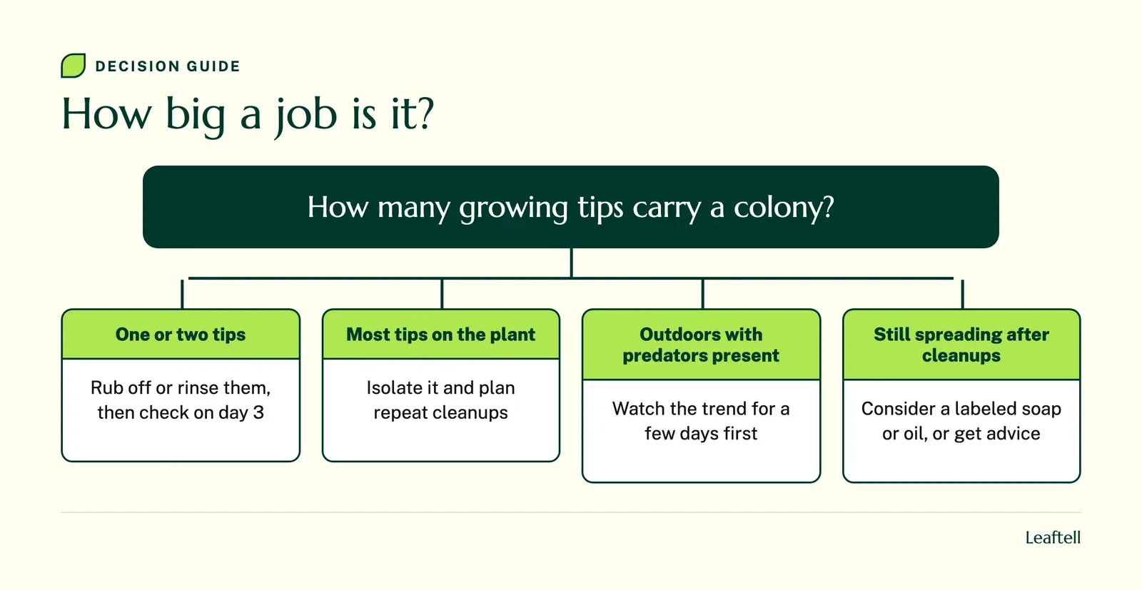Decision guide: How big a job is it?. Shows How many growing tips carry a colony?.
