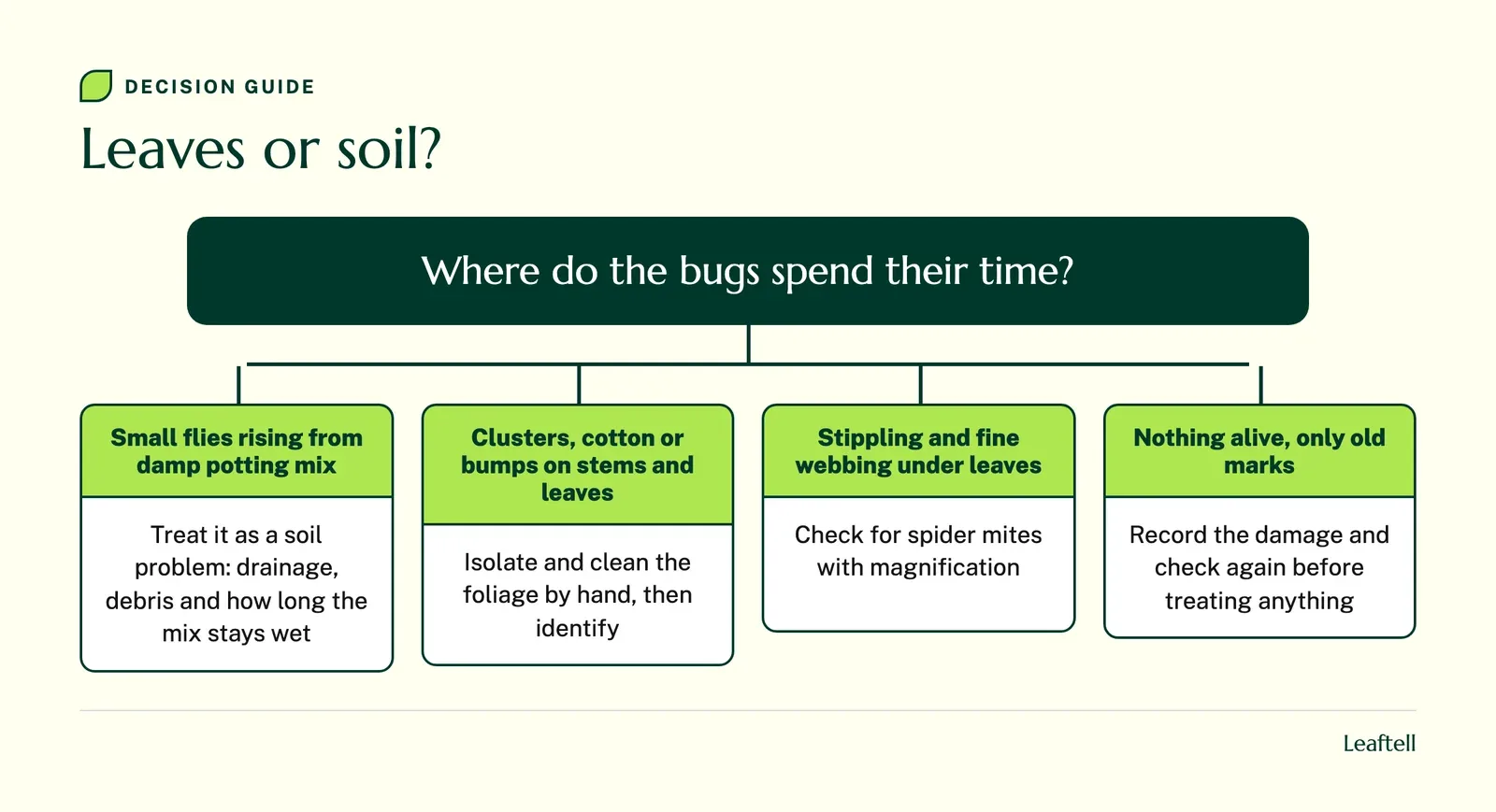 Decision guide: Leaves or soil?. Shows Where do the bugs spend their time?.