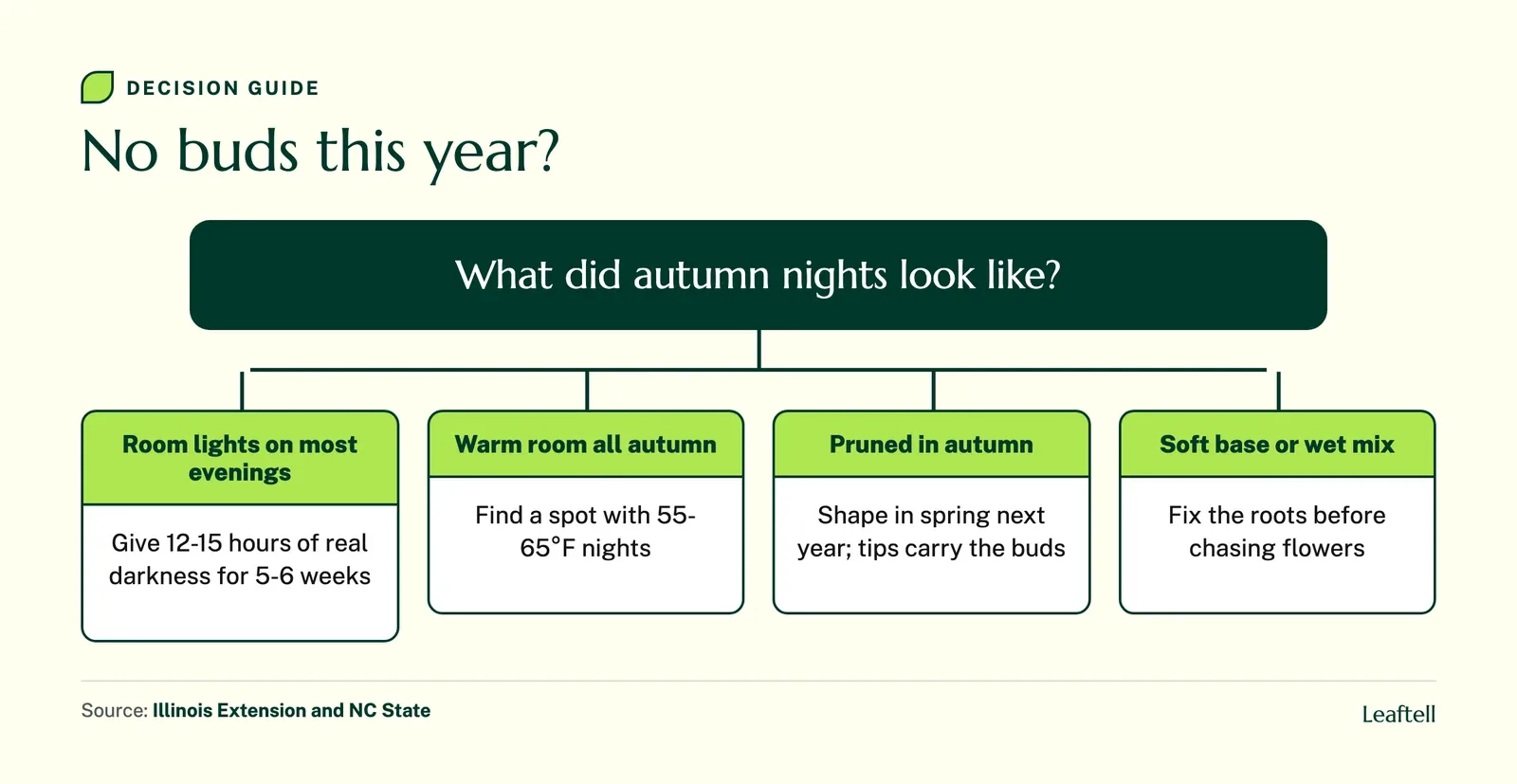 Decision guide: No buds this year?. Shows What did autumn nights look like?.