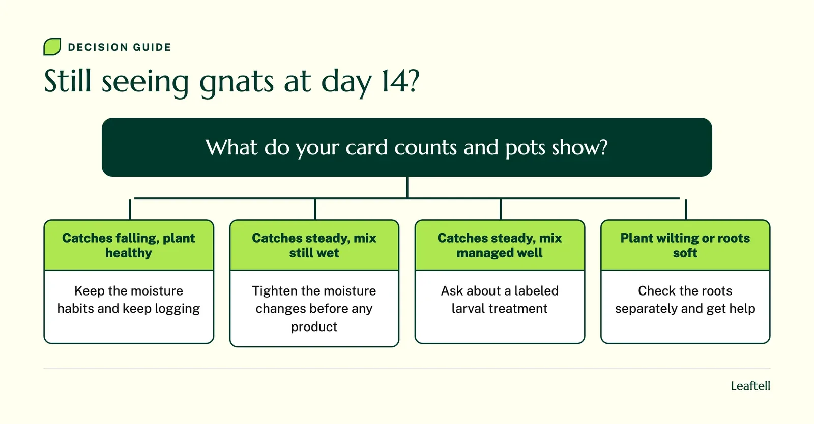 Decision guide: Still seeing gnats at day 14?. Shows What do your card counts and pots show?.