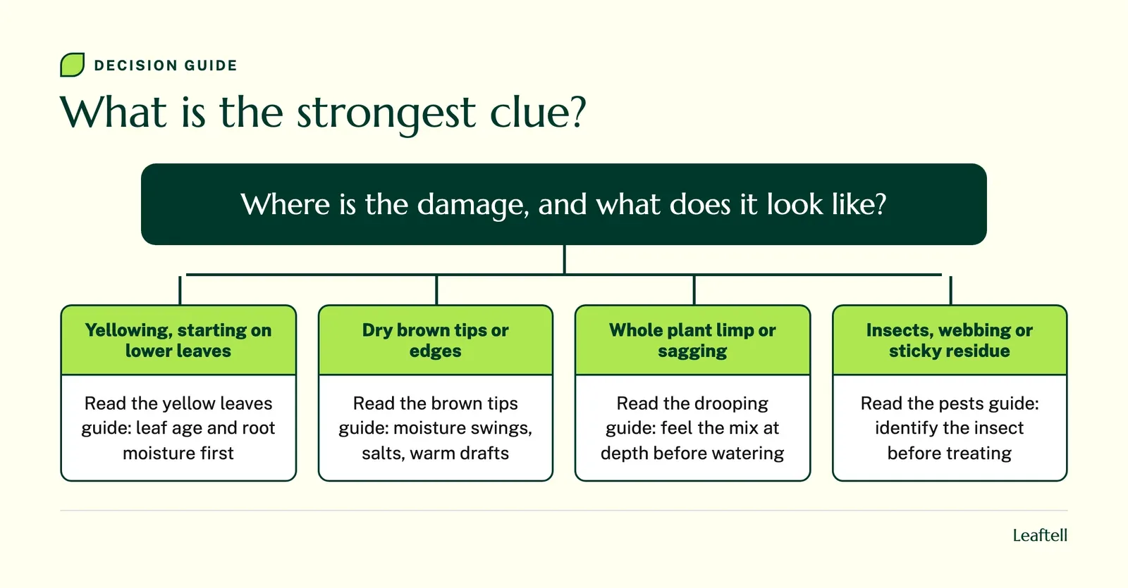 Decision guide: What is the strongest clue?. Shows Where is the damage, and what does it look like?.