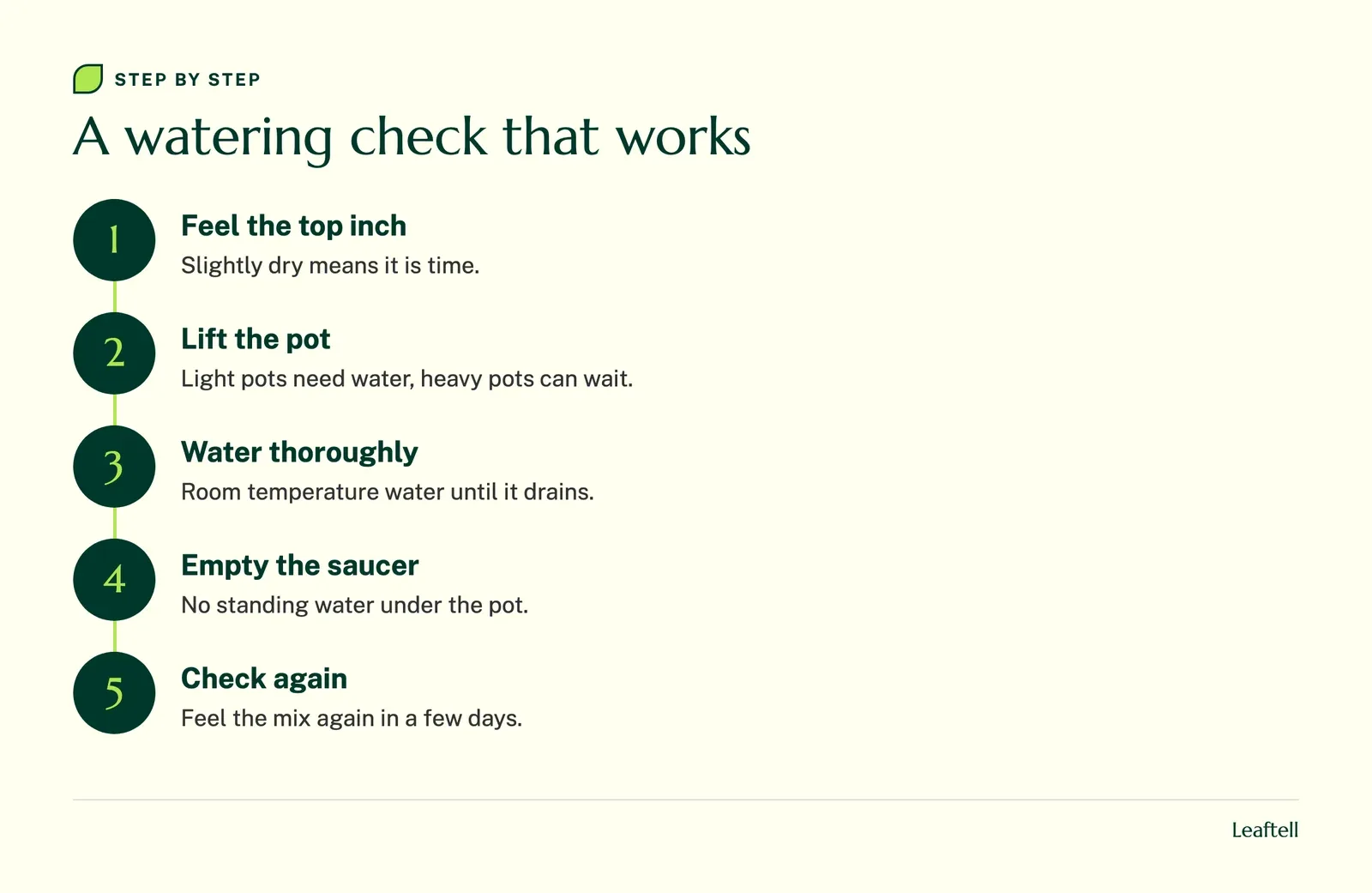 Flow chart of a peace lily watering routine from checking the mix to watering, draining and checking again