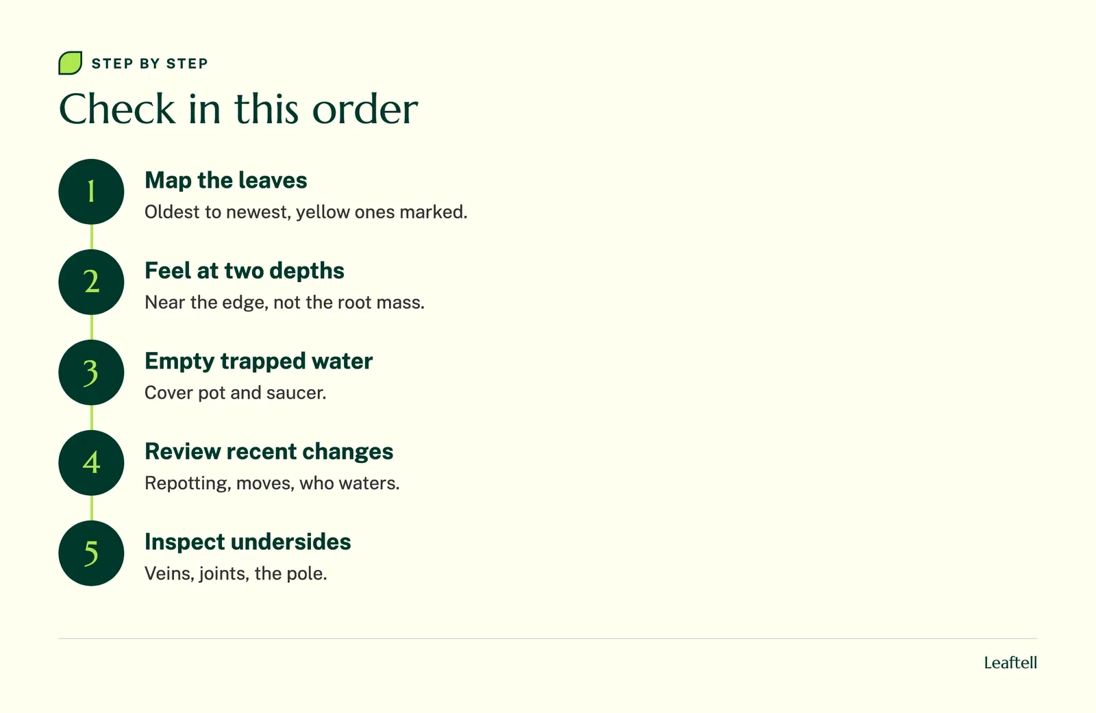 Flow chart of the order of checks for a monstera with yellow leaves