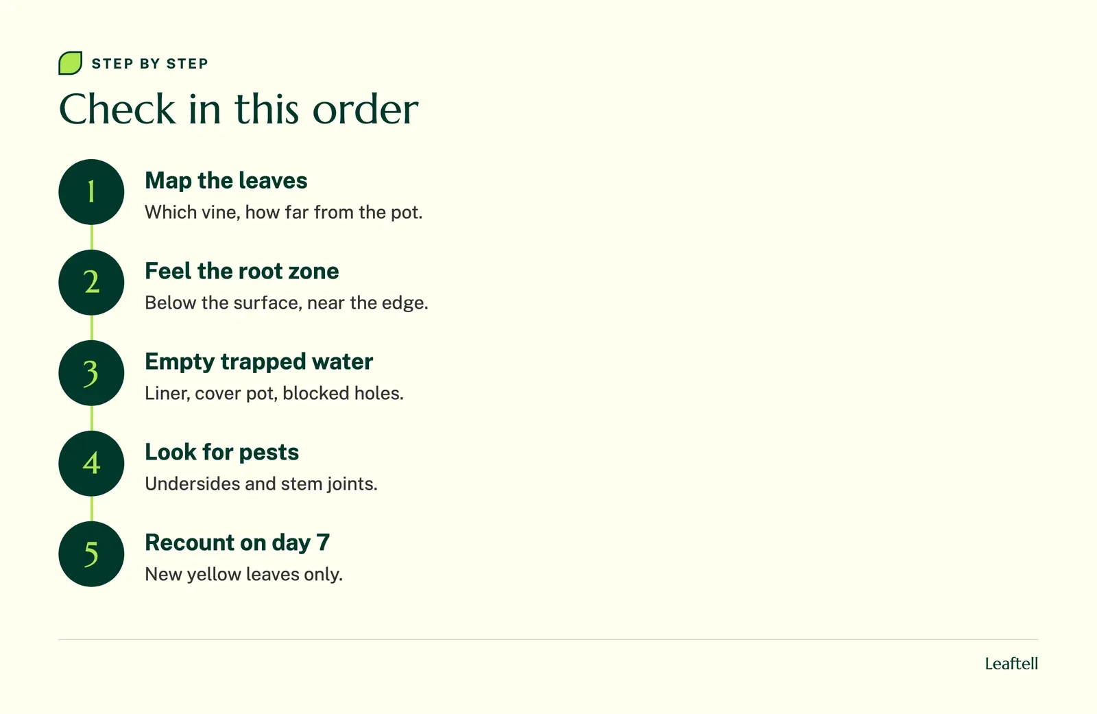 Flow chart showing the order of checks for a yellowing pothos, from the leaf map to the follow up count