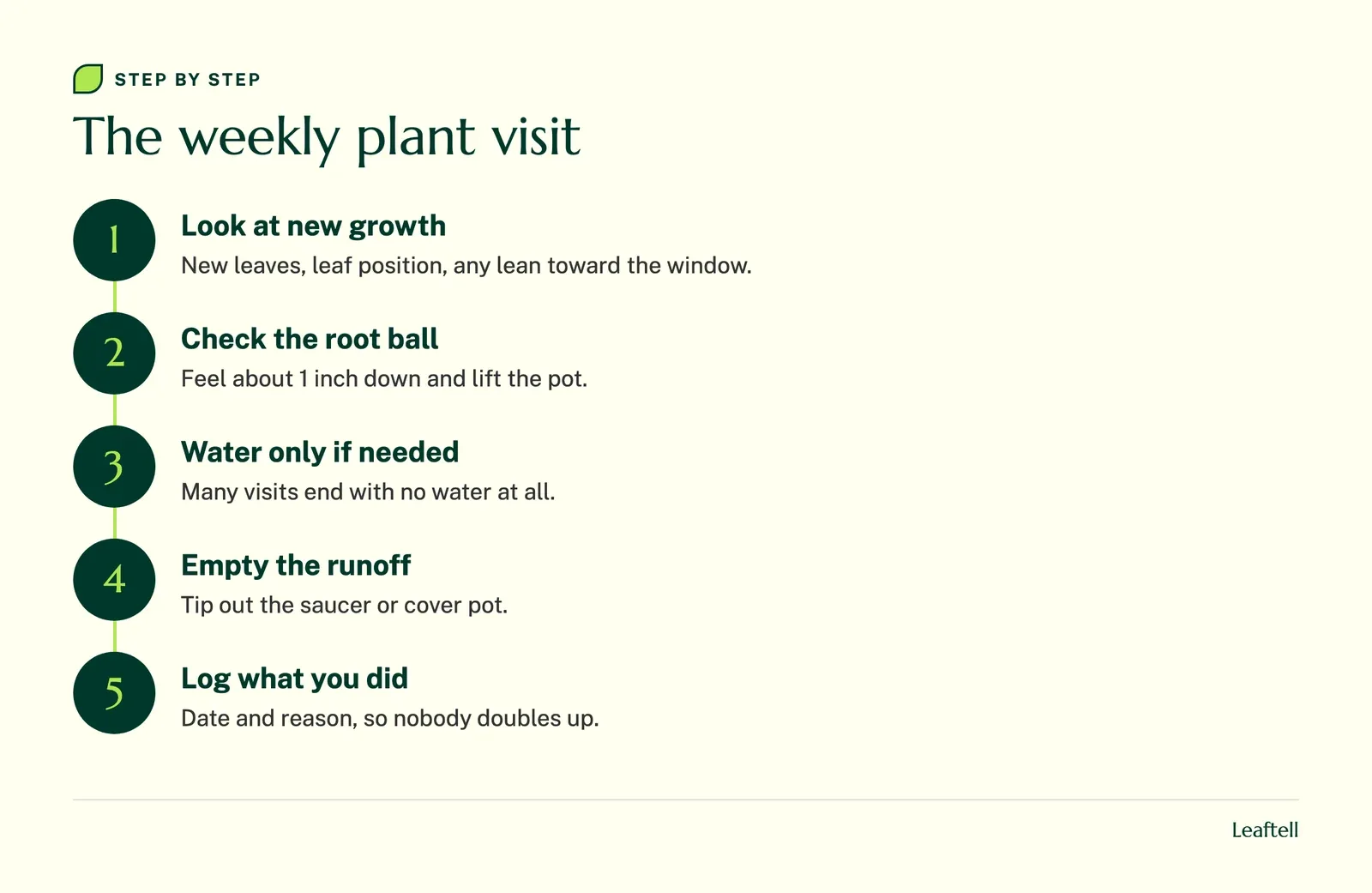 Flow of 5 steps, The weekly plant visit: Look at new growth, Check the root ball, Water only if needed, Empty the runoff, Log what you did