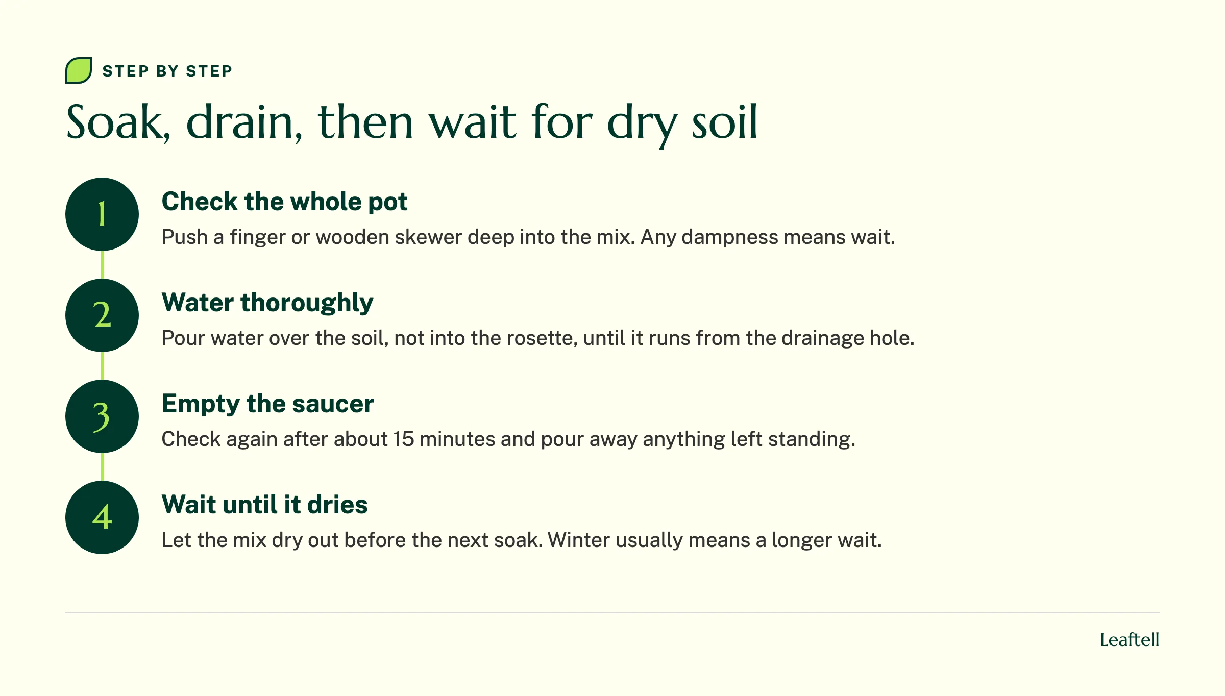 Four step watering flow for aloe: check the whole pot, water thoroughly, empty the saucer, wait until dry