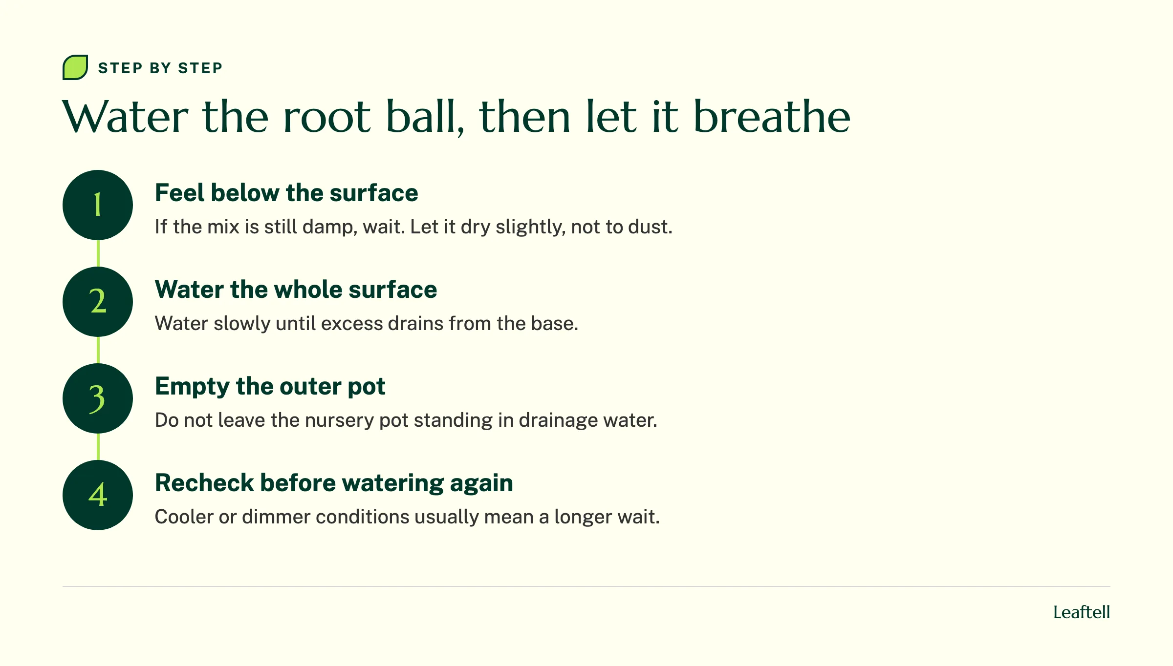 Four watering checks: feel the mix, water thoroughly, empty drainage water and recheck