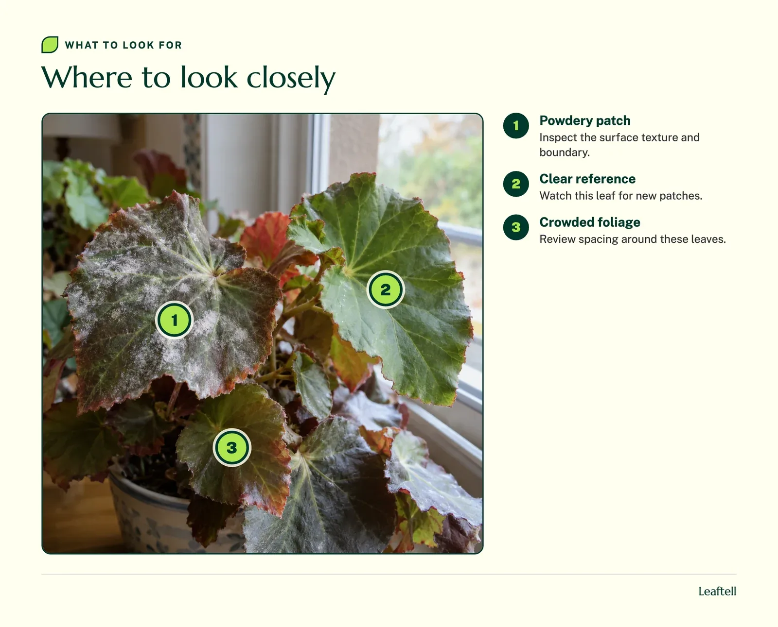 Numbered inspection points on the plant and its surroundings