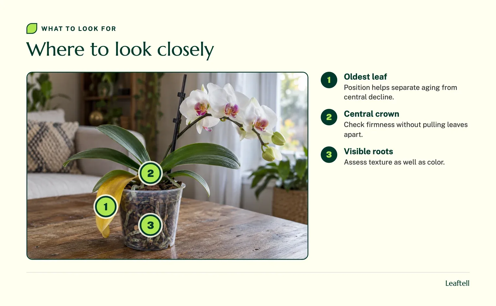 Numbered inspection points on the plant and its surroundings